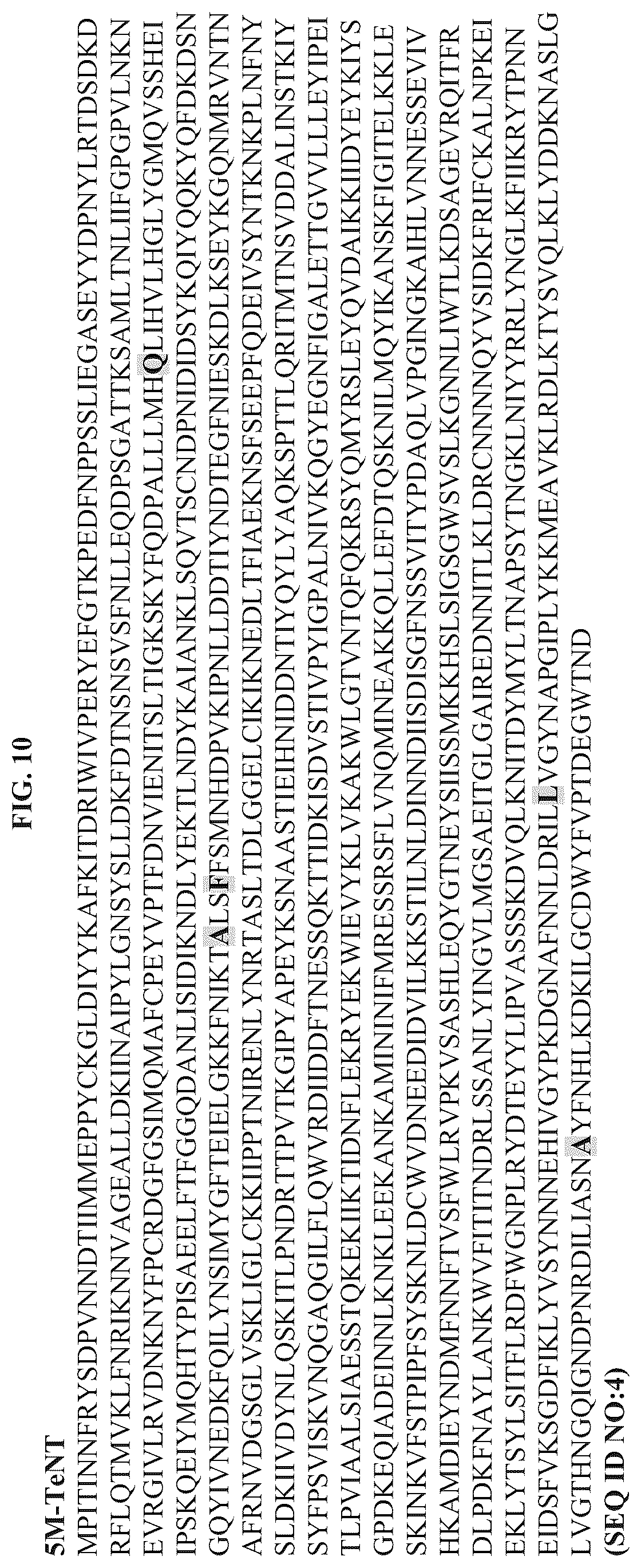 Patent US12611464 Figure 10 – Modified clostridial neurotoxins as vaccine and conjugate vaccine platforms