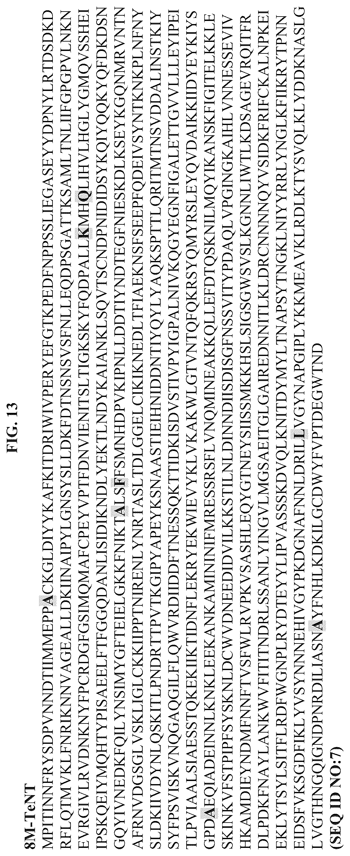 Patent US12611464 Figure 13 – Modified clostridial neurotoxins as vaccine and conjugate vaccine platforms