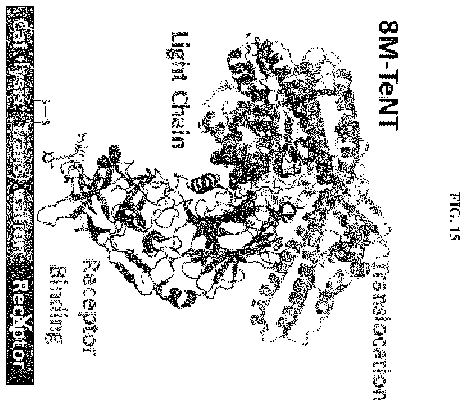 Patent US12611464 Figure 15 – Modified clostridial neurotoxins as vaccine and conjugate vaccine platforms