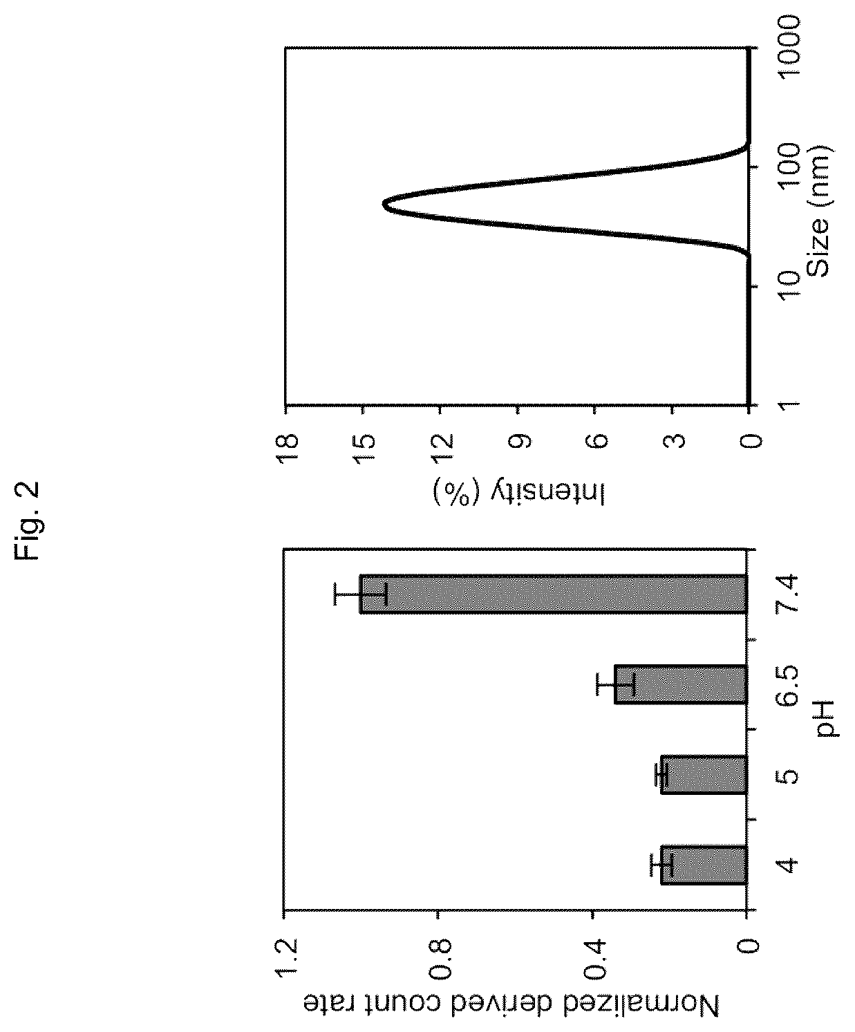 Patent US12611465 Figure 2 – Protein-enclosing polymeric micelle