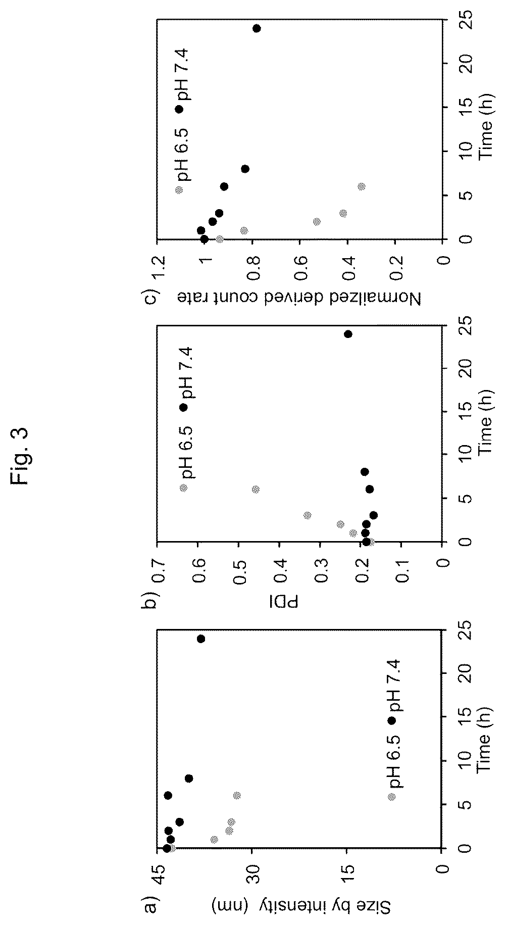 Patent US12611465 Figure 3 – Protein-enclosing polymeric micelle