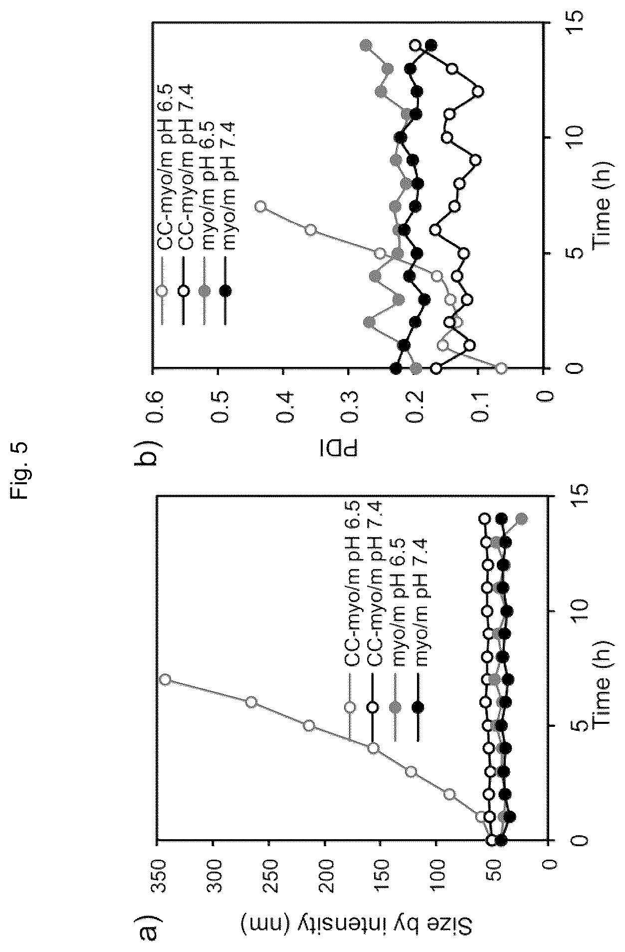 Patent US12611465 Figure 5 – Protein-enclosing polymeric micelle