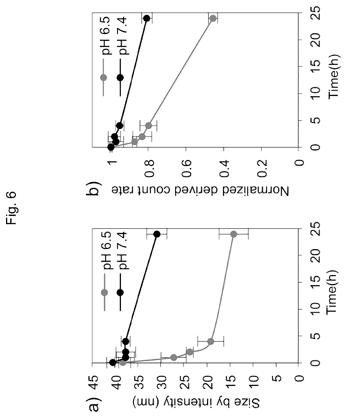 Patent US12611465 Figure 6 – Protein-enclosing polymeric micelle