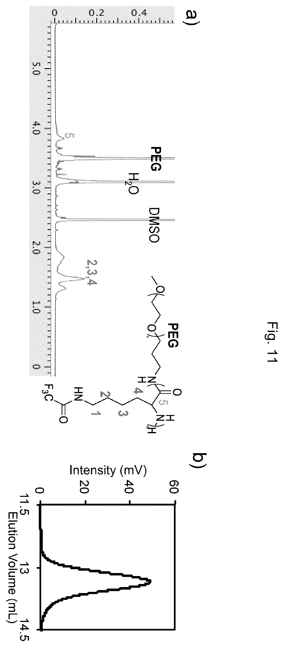 Patent US12611465 Figure 11 – Protein-enclosing polymeric micelle