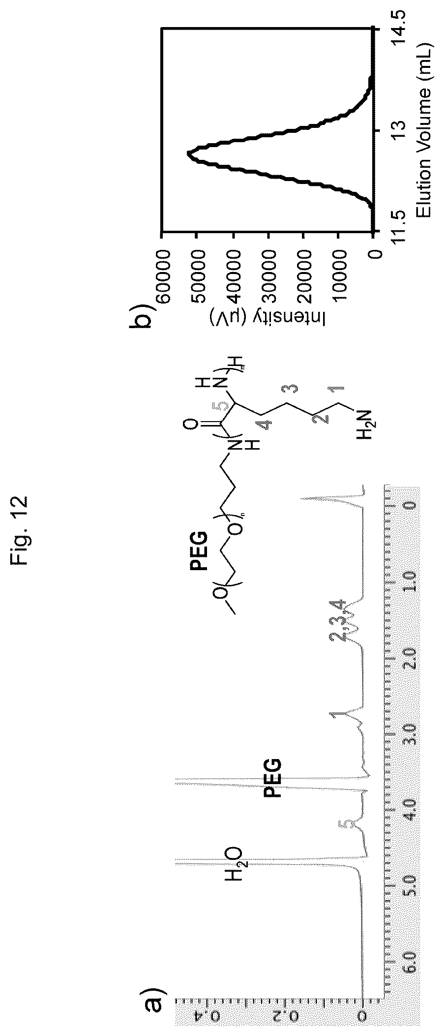 Patent US12611465 Figure 12 – Protein-enclosing polymeric micelle