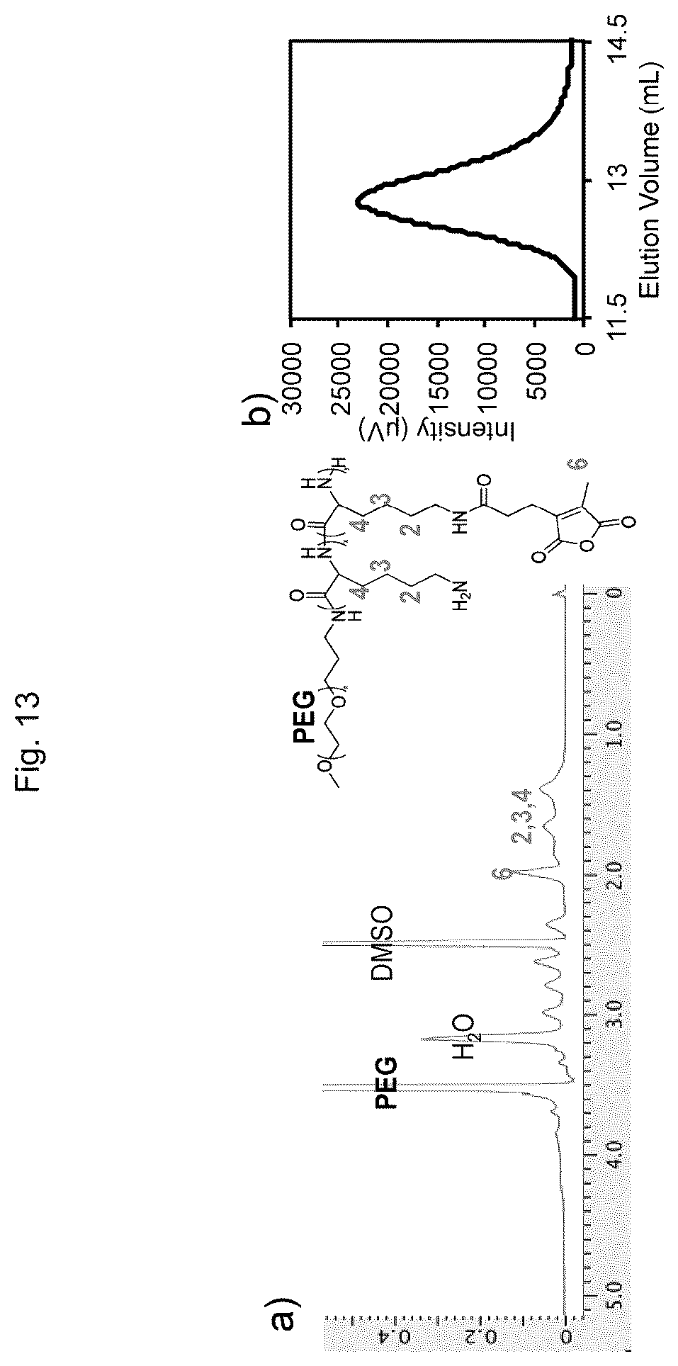 Patent US12611465 Figure 13 – Protein-enclosing polymeric micelle