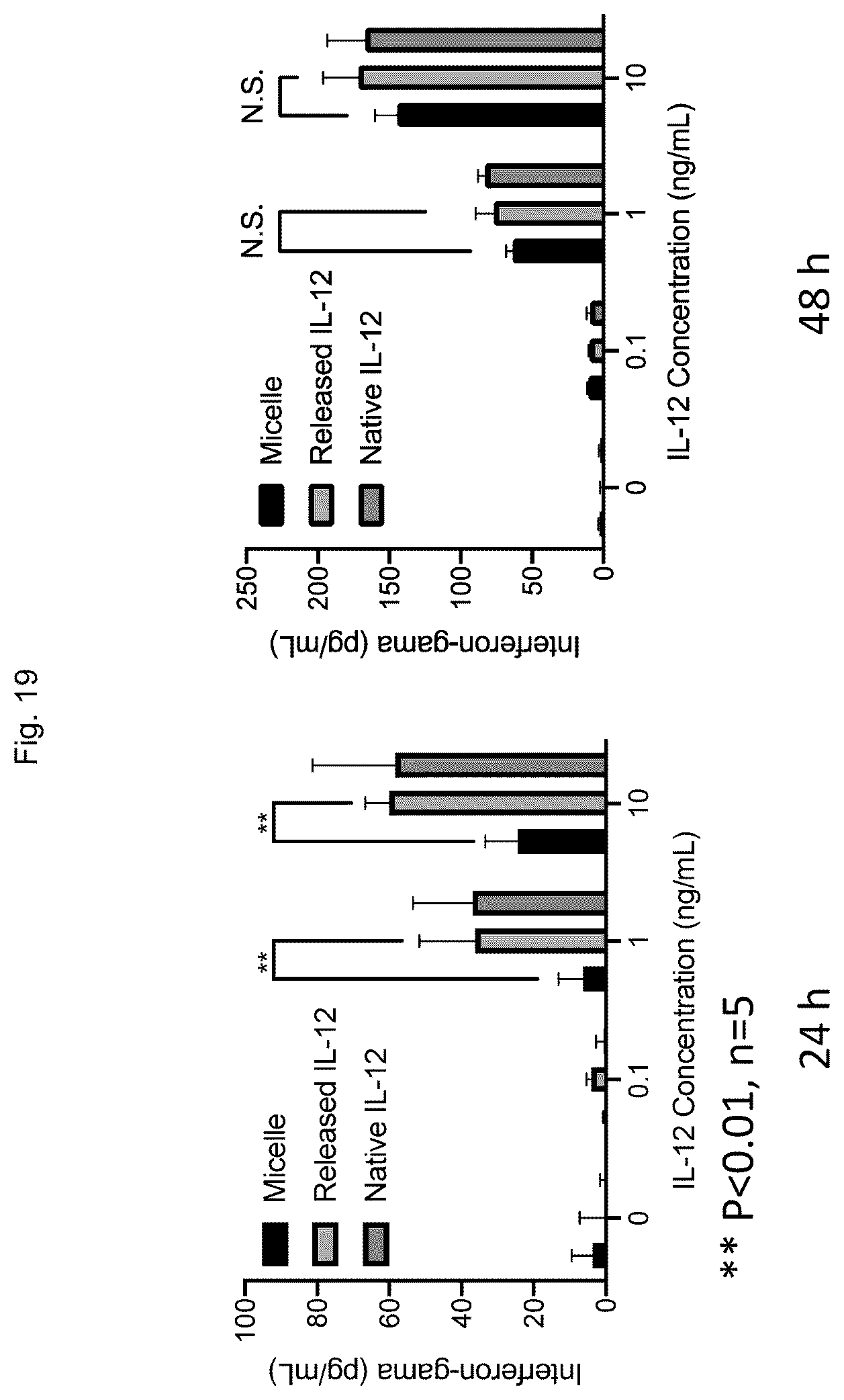 Patent US12611465 Figure 19 – Protein-enclosing polymeric micelle
