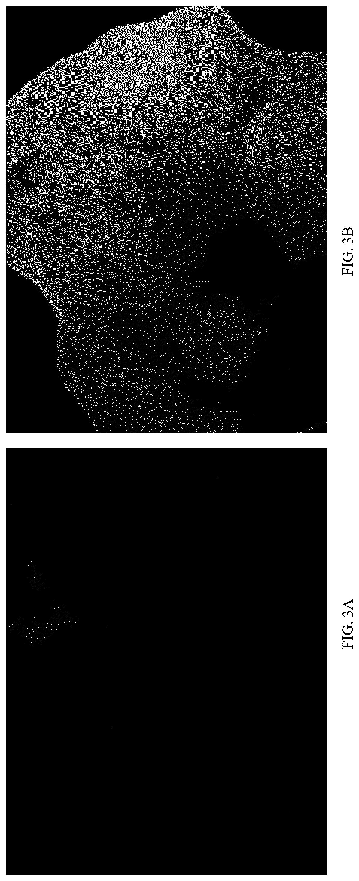Patent US12611466 Figure 3 – Modified vector, construction method, and application of modified AAV-8 serotype for gene targeting and expression