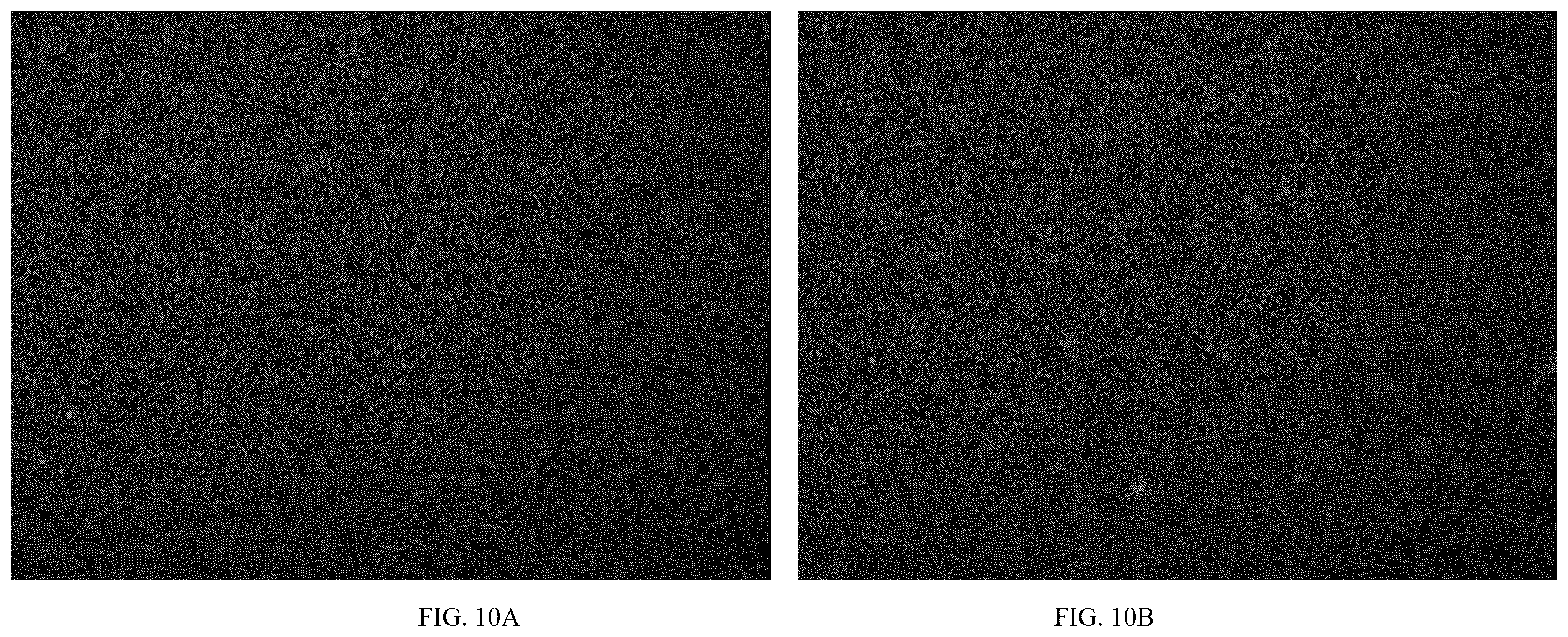 Patent US12611466 Figure 11 – Modified vector, construction method, and application of modified AAV-8 serotype for gene targeting and expression