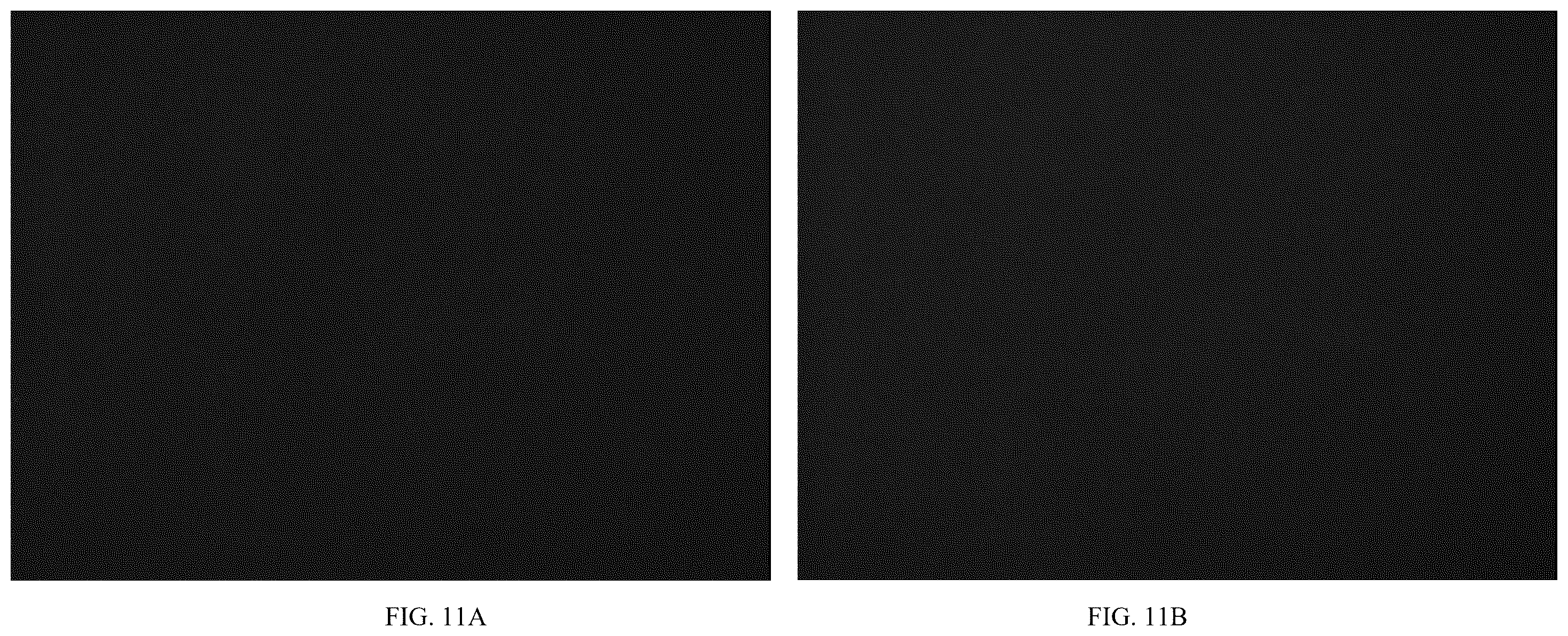 Patent US12611466 Figure 12 – Modified vector, construction method, and application of modified AAV-8 serotype for gene targeting and expression