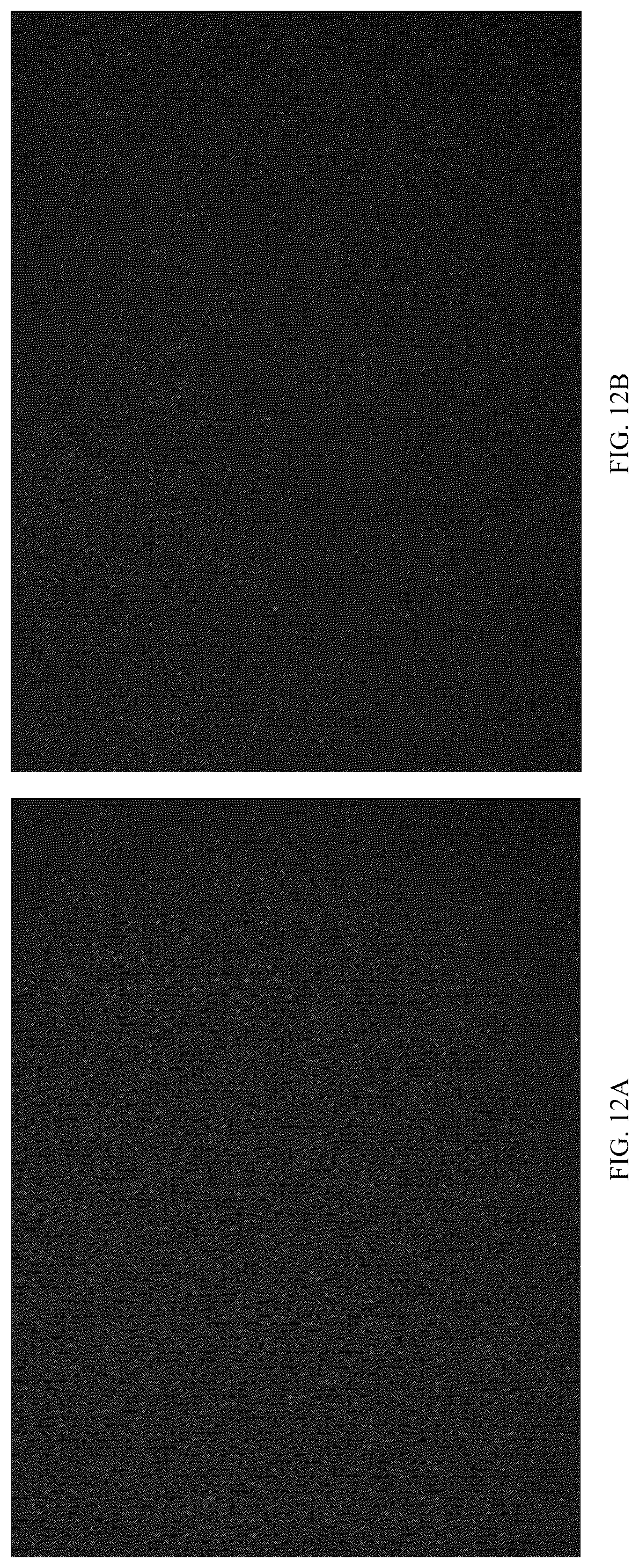 Patent US12611466 Figure 13 – Modified vector, construction method, and application of modified AAV-8 serotype for gene targeting and expression