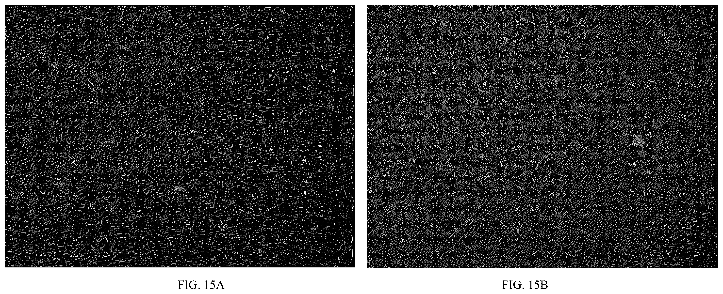Patent US12611466 Figure 16 – Modified vector, construction method, and application of modified AAV-8 serotype for gene targeting and expression