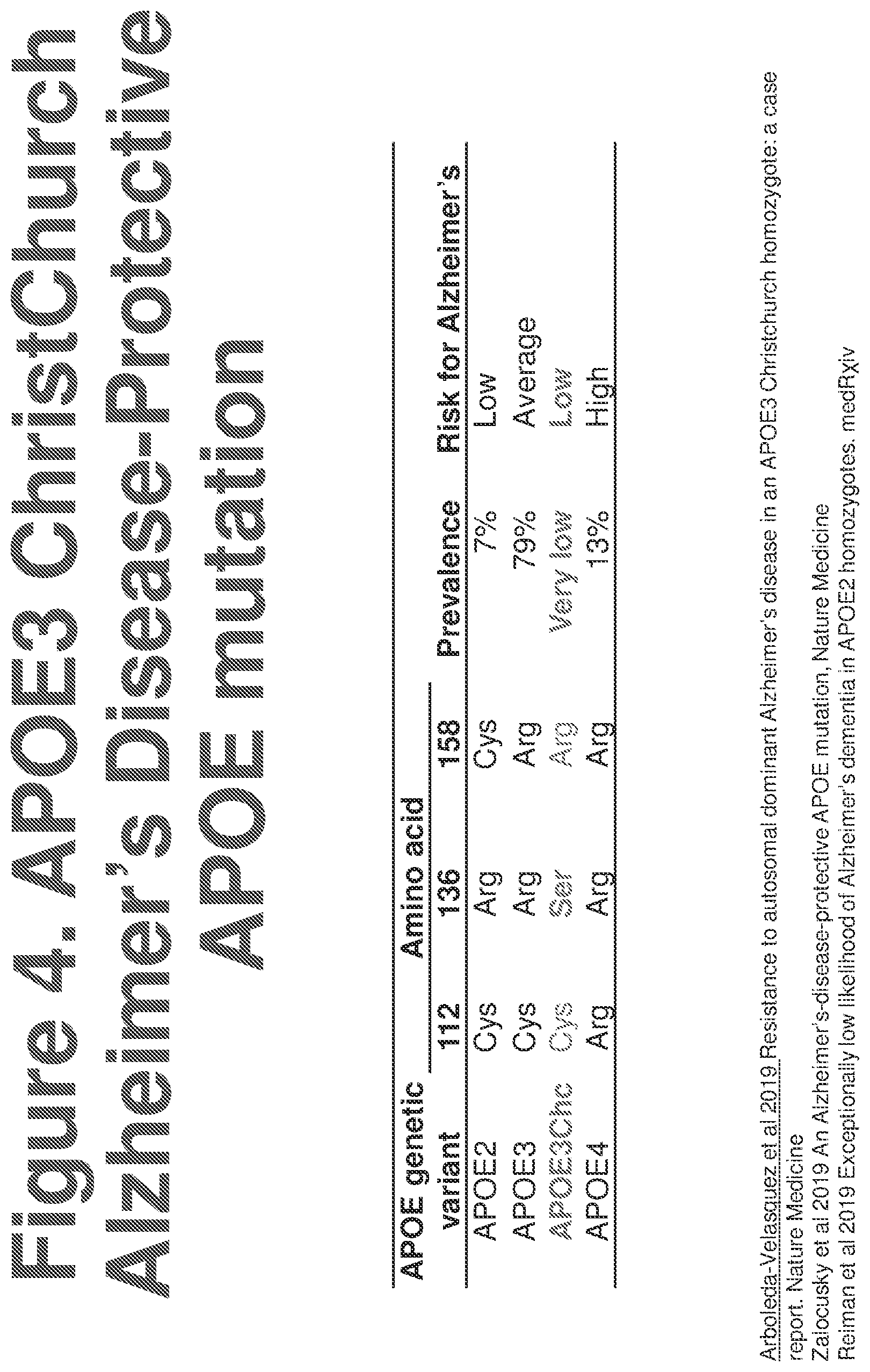 Patent US12611467 Figure 4 – APOE gene therapy