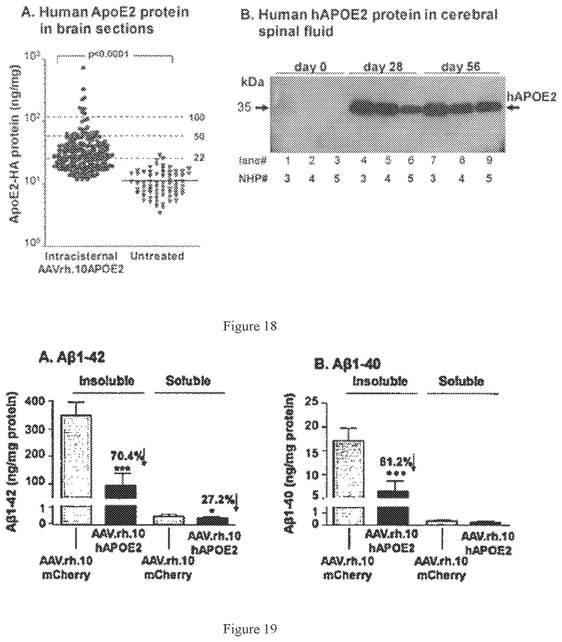 Patent US12611467 Figure 15 – APOE gene therapy