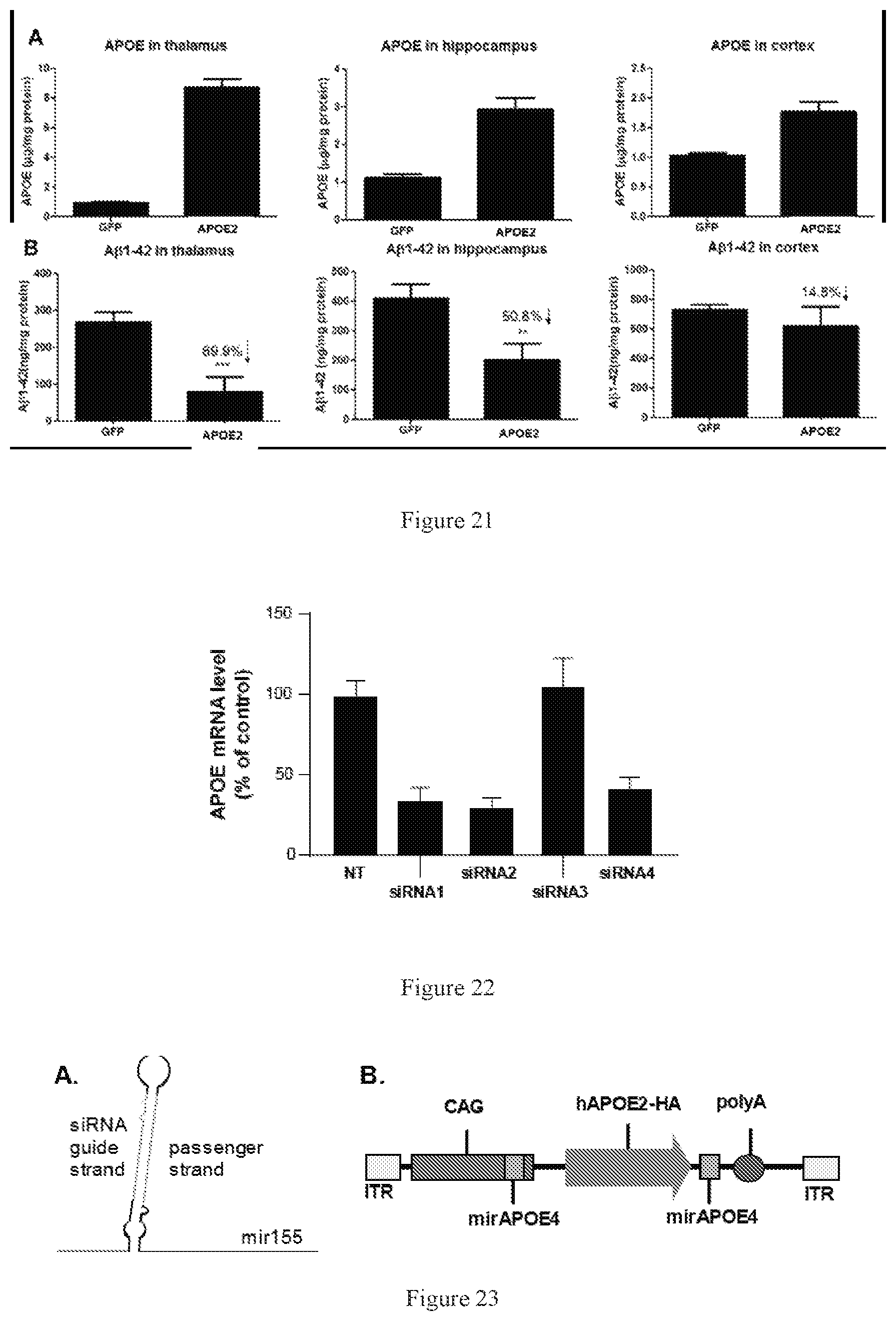 Patent US12611467 Figure 17 – APOE gene therapy