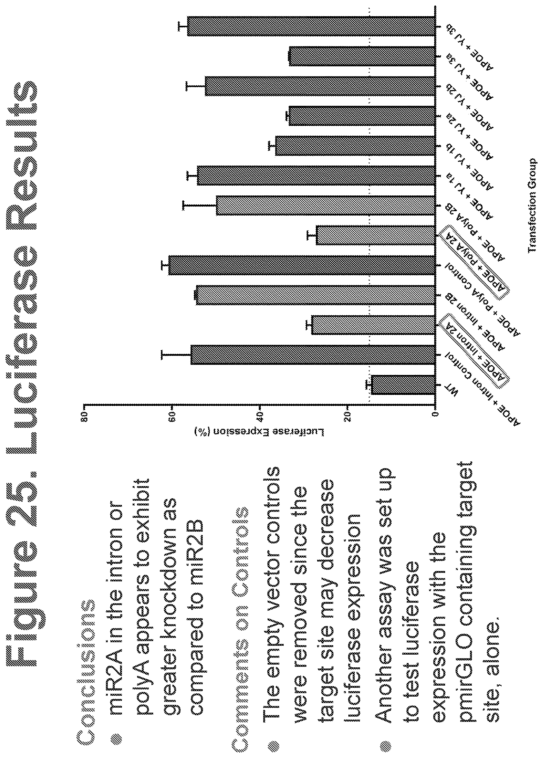 Patent US12611467 Figure 19 – APOE gene therapy
