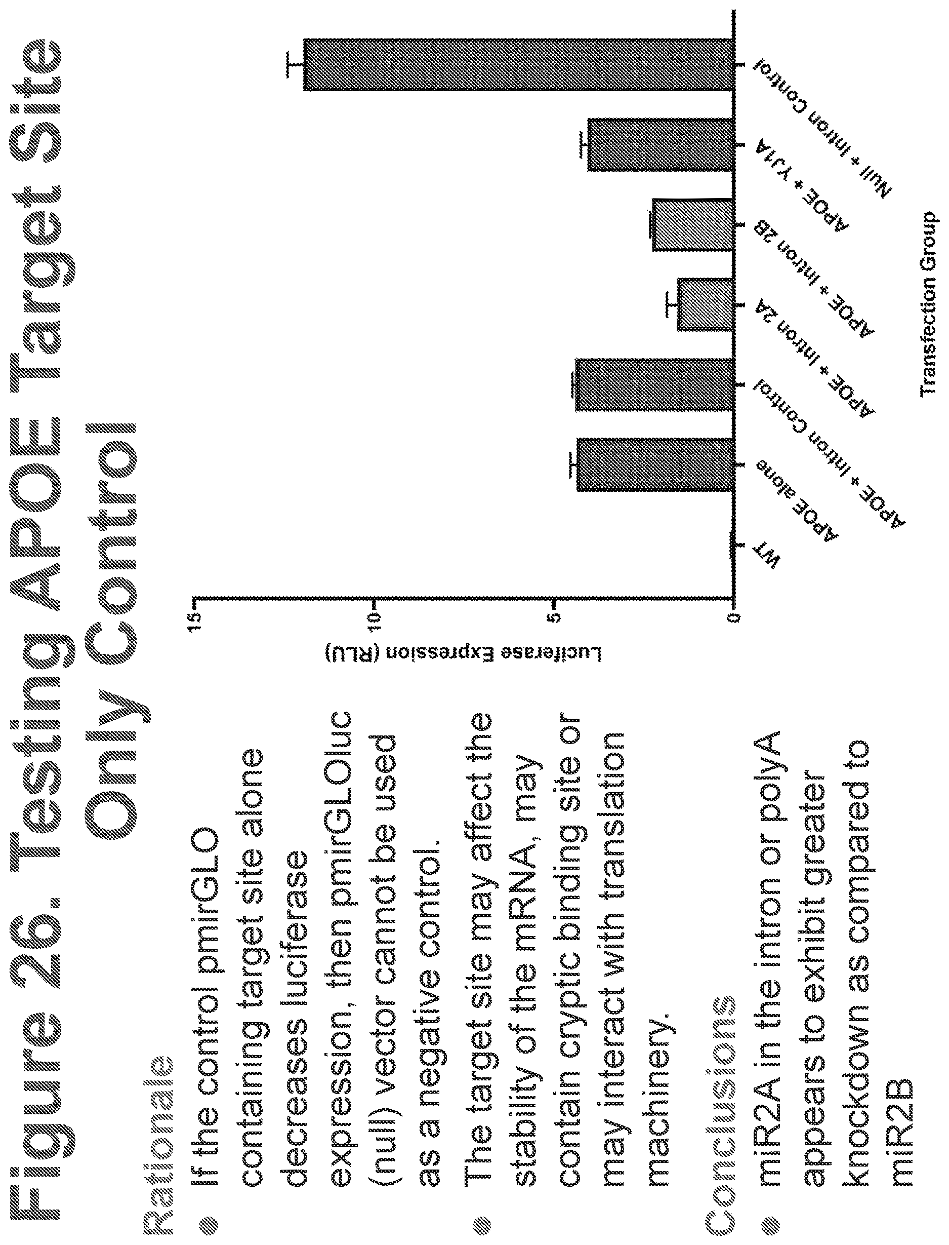 Patent US12611467 Figure 20 – APOE gene therapy