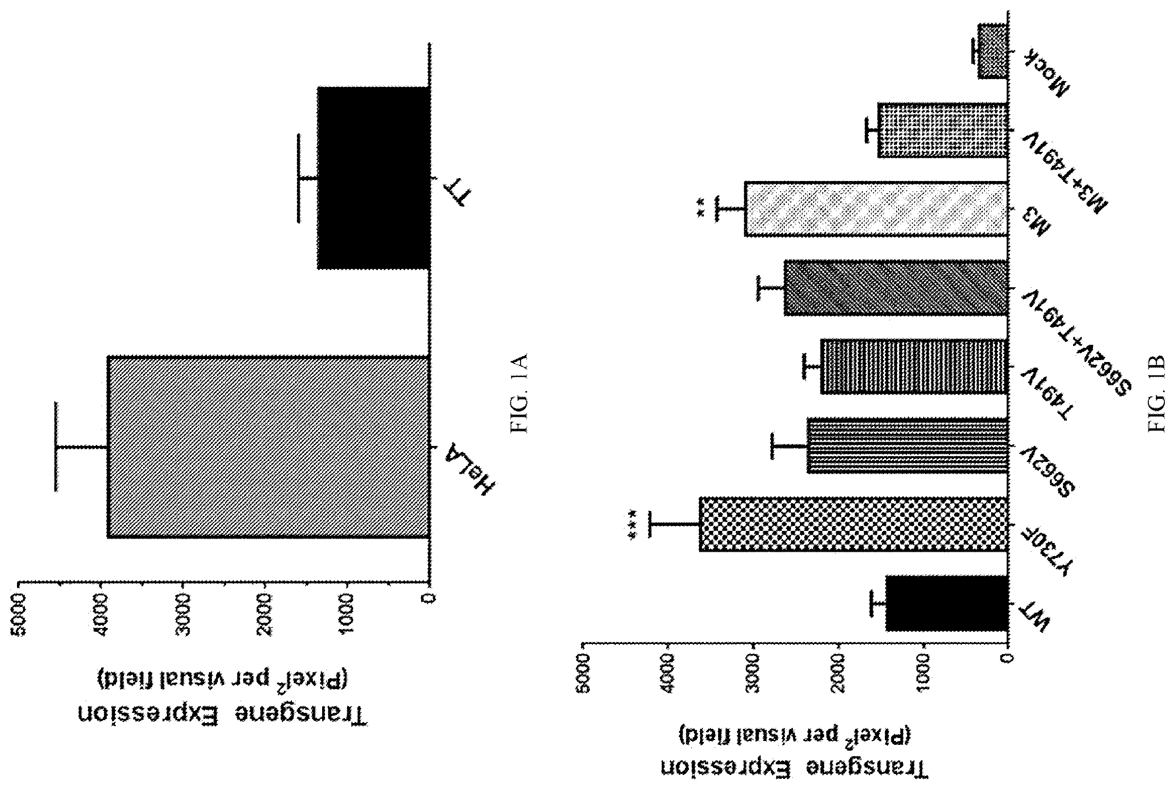 Patent US12611468 Figure 1 – Recombinant adeno-associated virus vectors to target medullary thyroid carcinoma