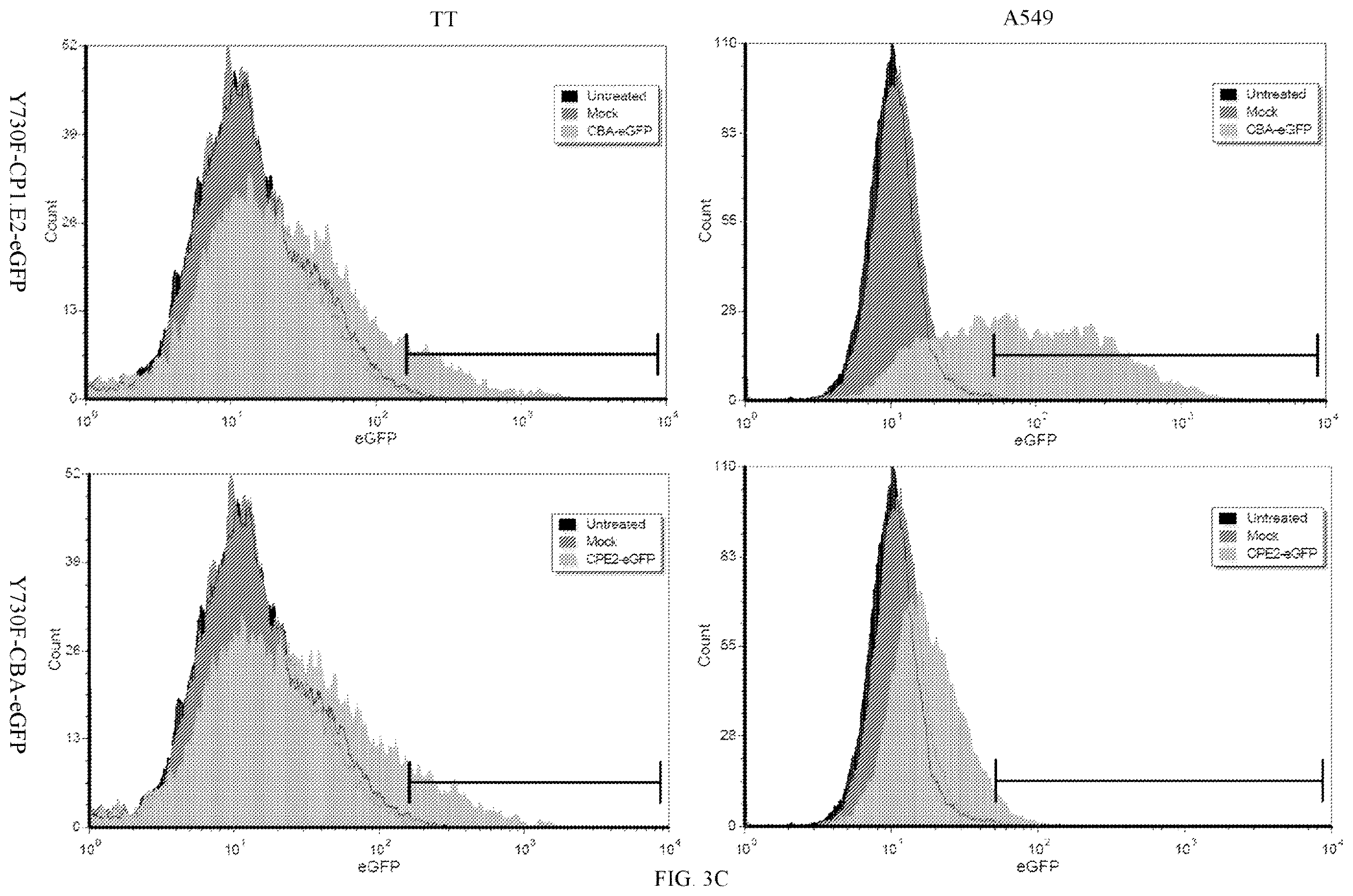 Patent US12611468 Figure 5 – Recombinant adeno-associated virus vectors to target medullary thyroid carcinoma
