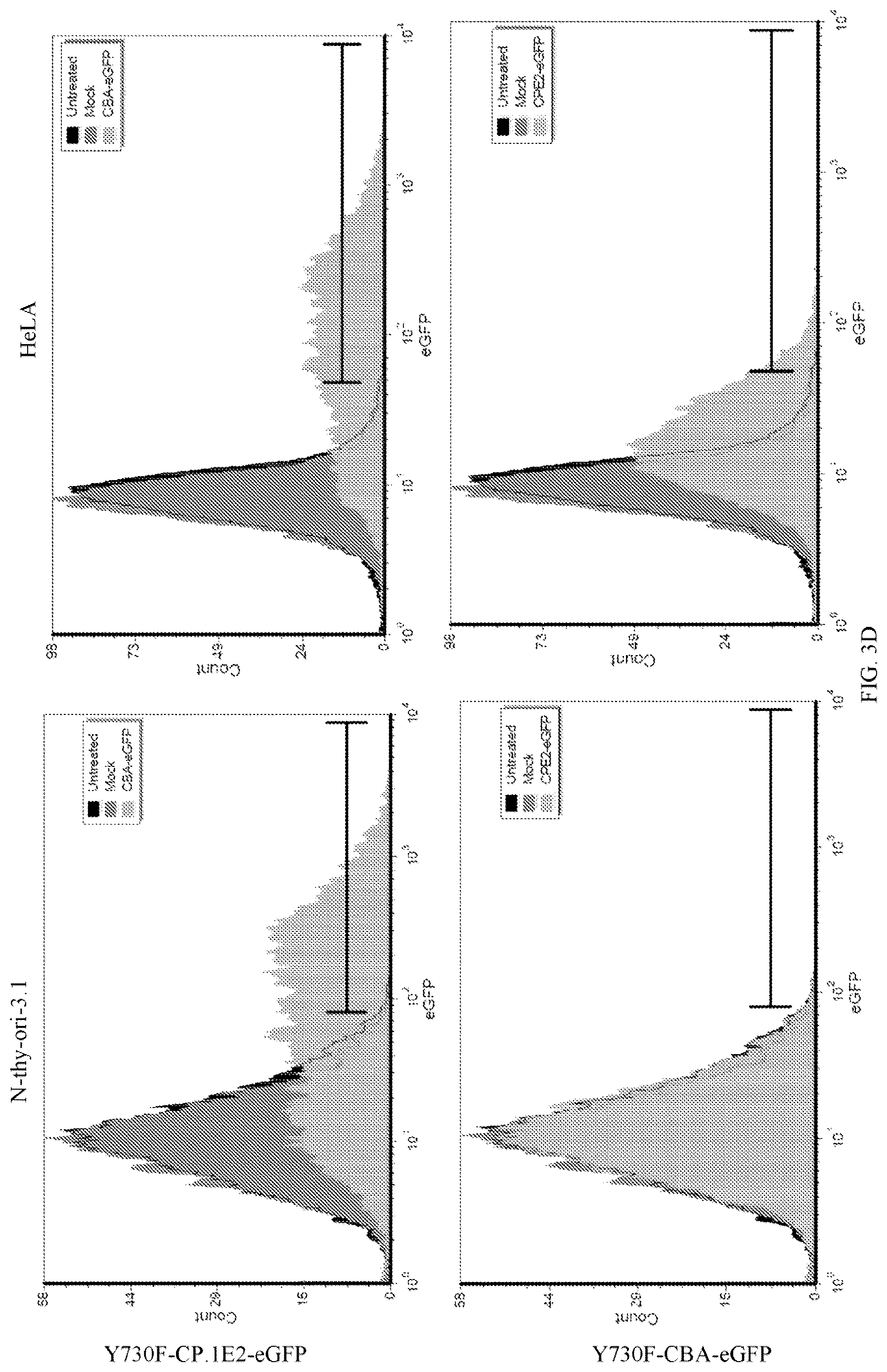 Patent US12611468 Figure 6 – Recombinant adeno-associated virus vectors to target medullary thyroid carcinoma