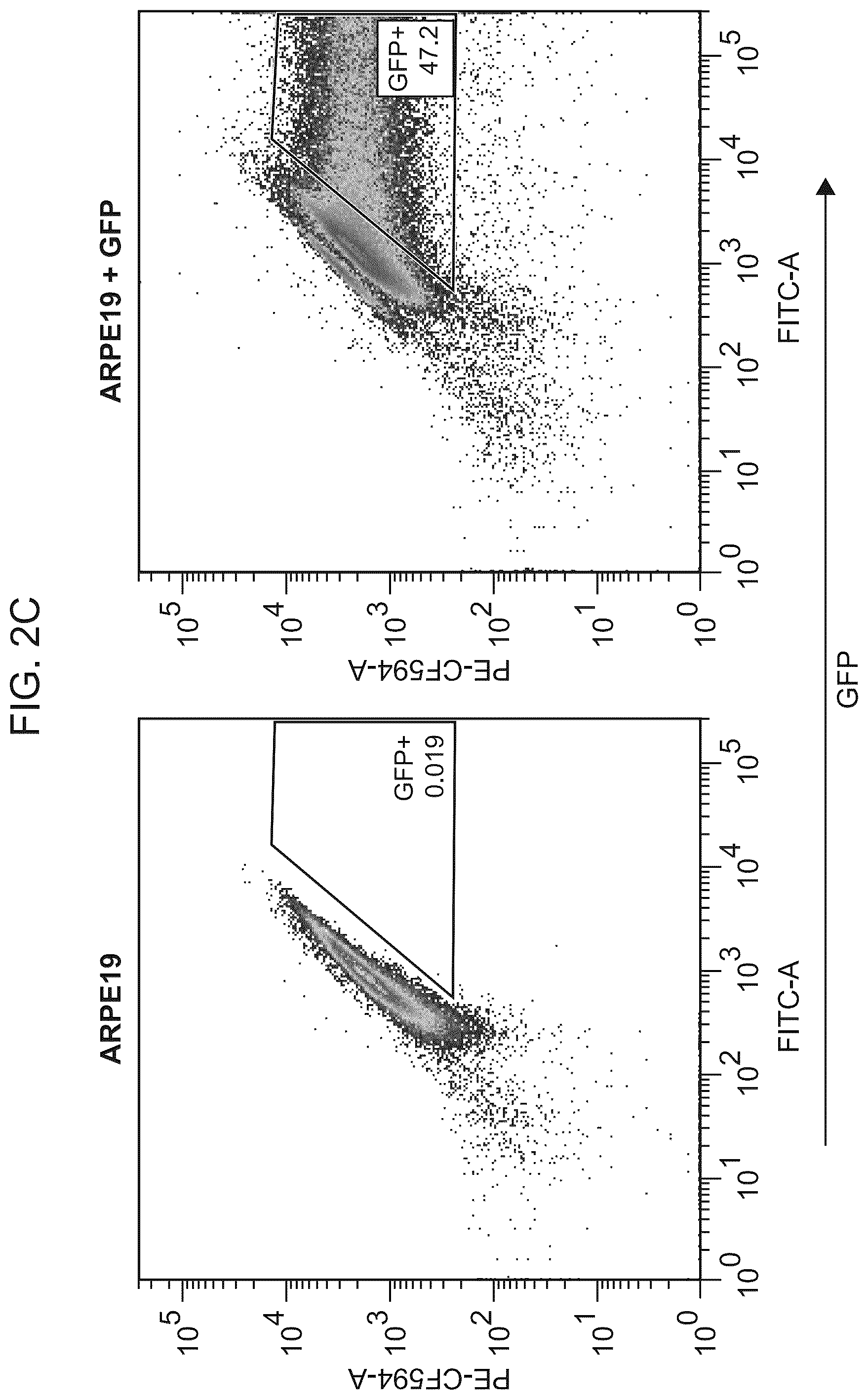 Patent US12611469 Figure 4 – Promoter specific for non-pigmented ciliary epithelial cells