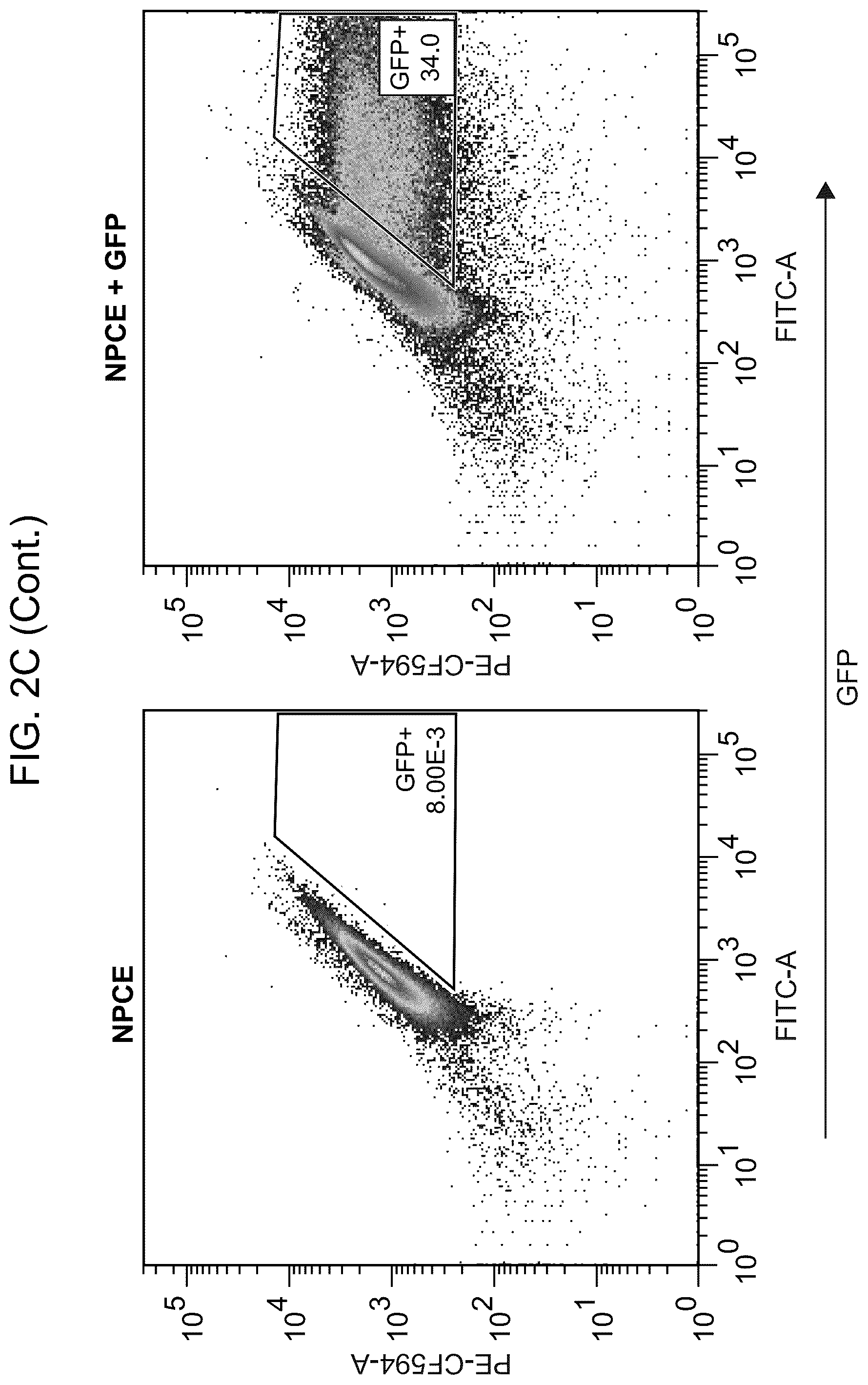 Patent US12611469 Figure 5 – Promoter specific for non-pigmented ciliary epithelial cells