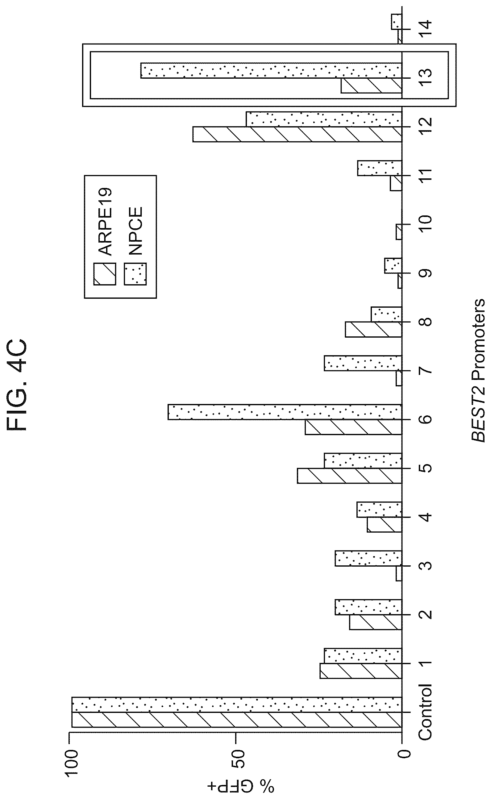 Patent US12611469 Figure 9 – Promoter specific for non-pigmented ciliary epithelial cells