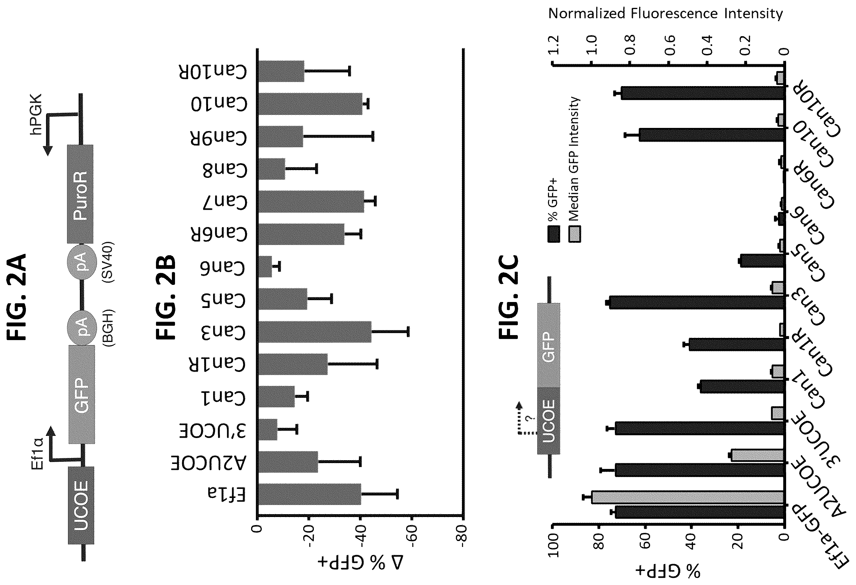 Patent US12611470 Figure 3 – Chromatin-opening element for stable long term gene expression