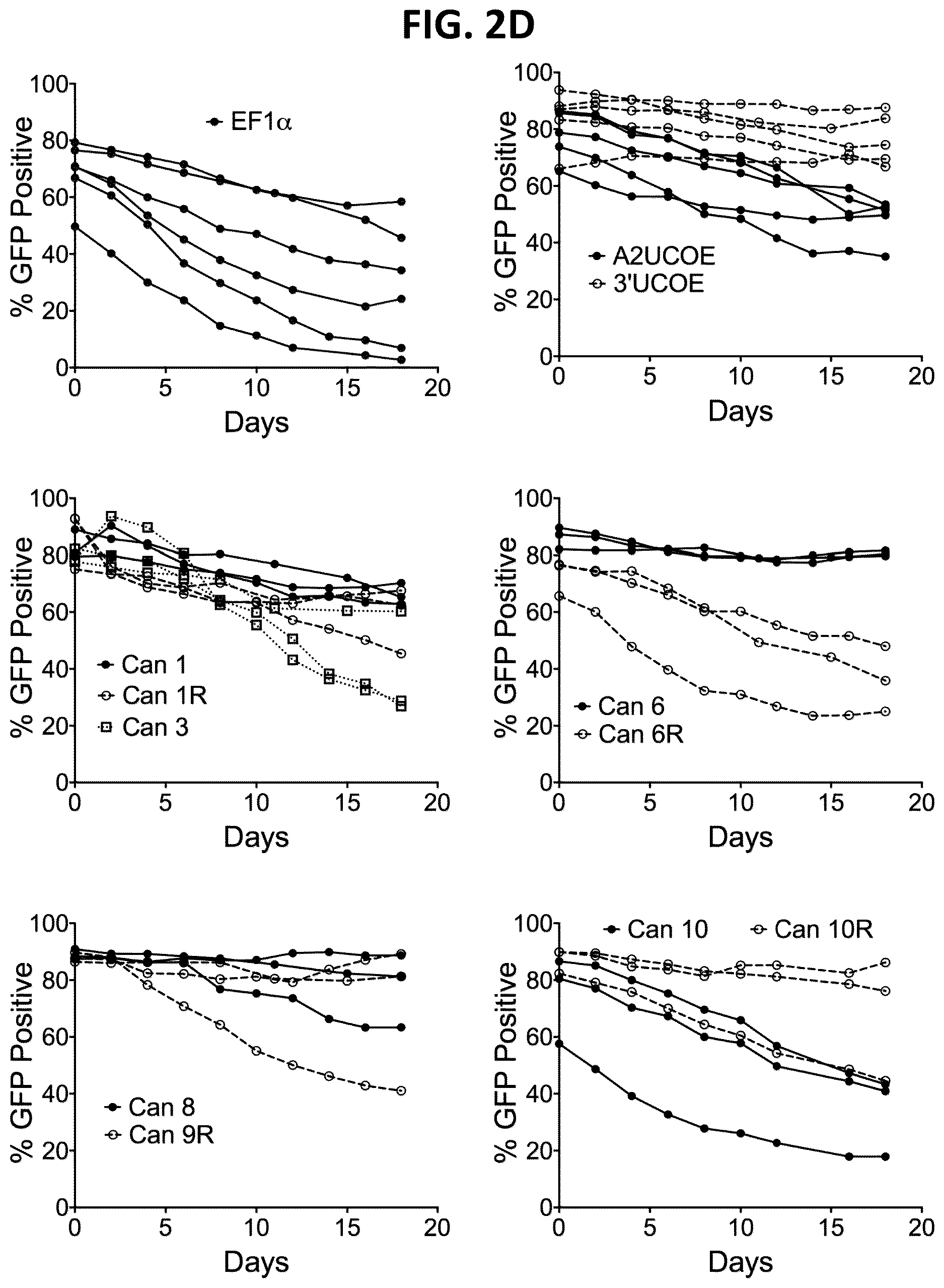 Patent US12611470 Figure 4 – Chromatin-opening element for stable long term gene expression