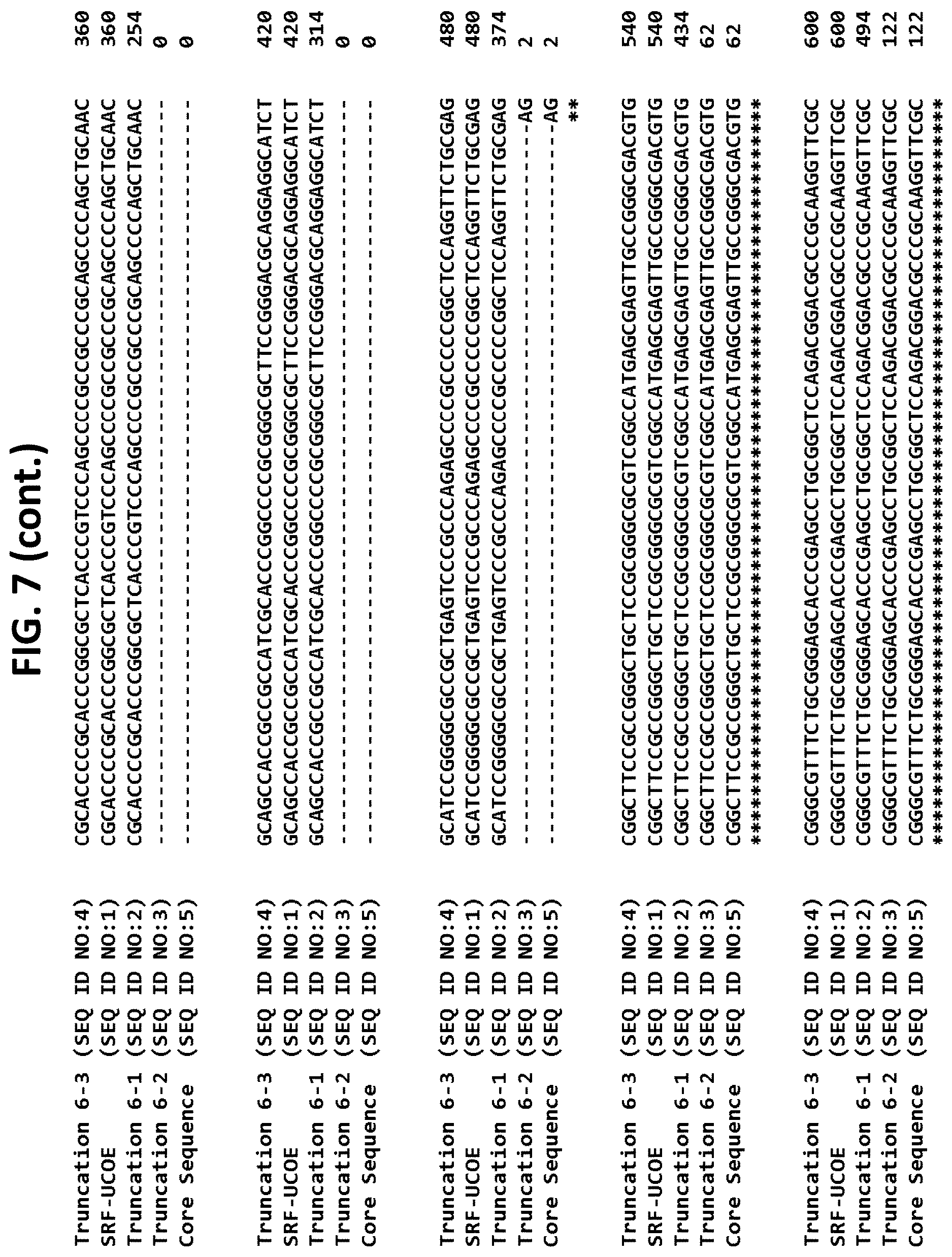 Patent US12611470 Figure 13 – Chromatin-opening element for stable long term gene expression