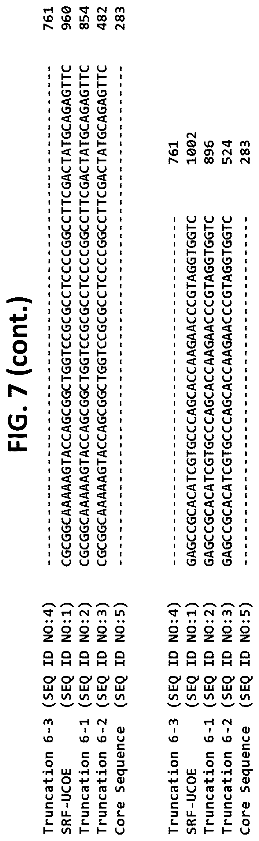 Patent US12611470 Figure 15 – Chromatin-opening element for stable long term gene expression
