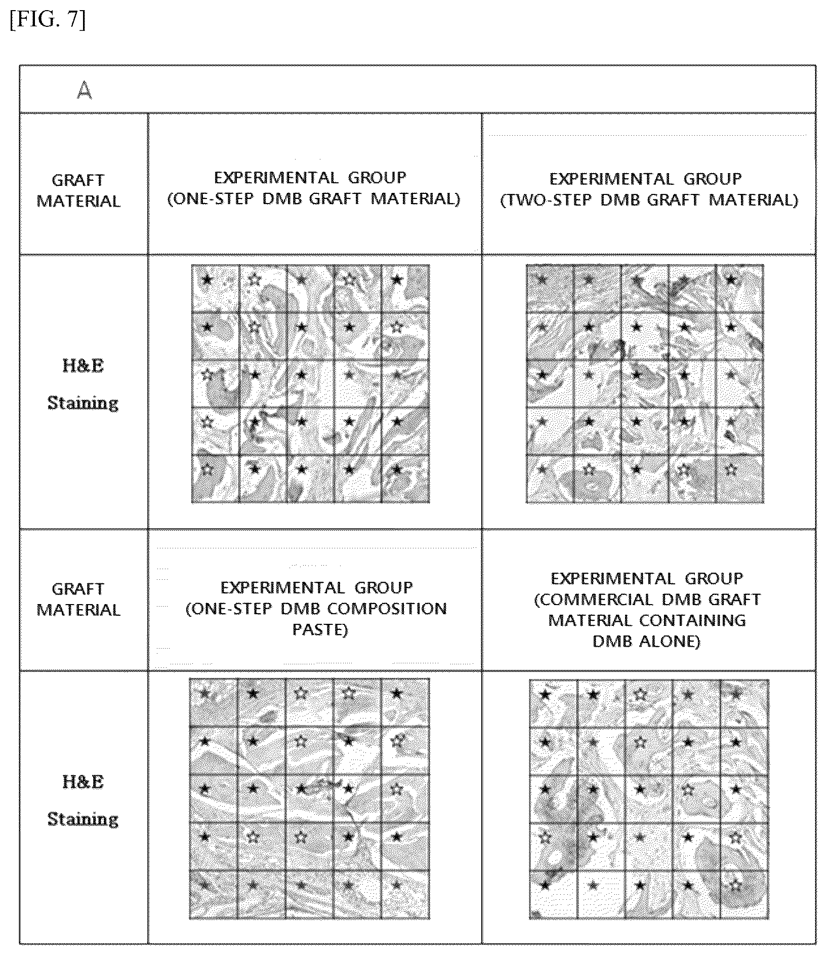 Patent US12611485 Figure 6 – Composite demineralized bone matrix composition containing bone mineral component and method for producing same