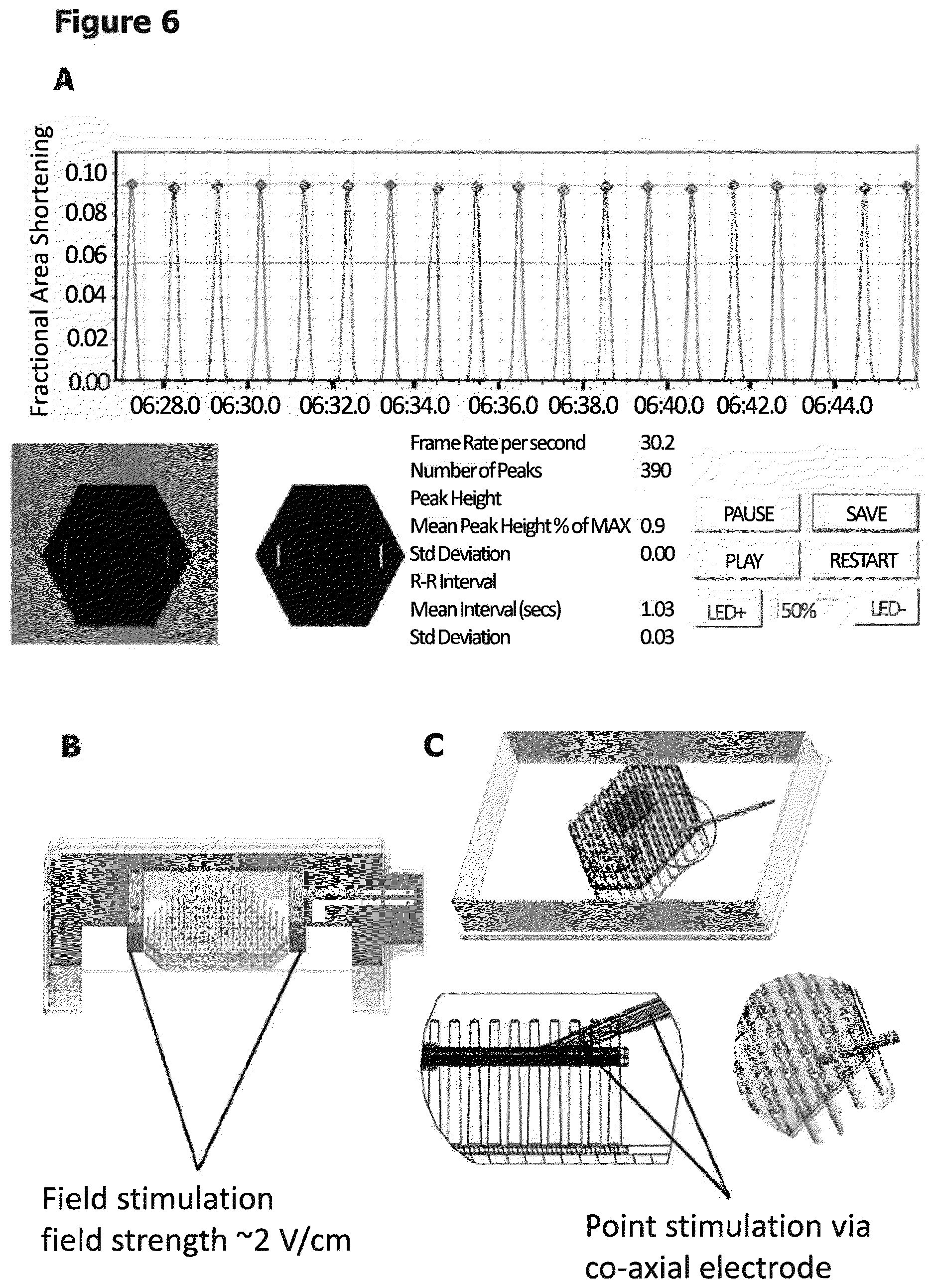 Patent US12611487 Figure 6 – Multilayer engineered heart muscle