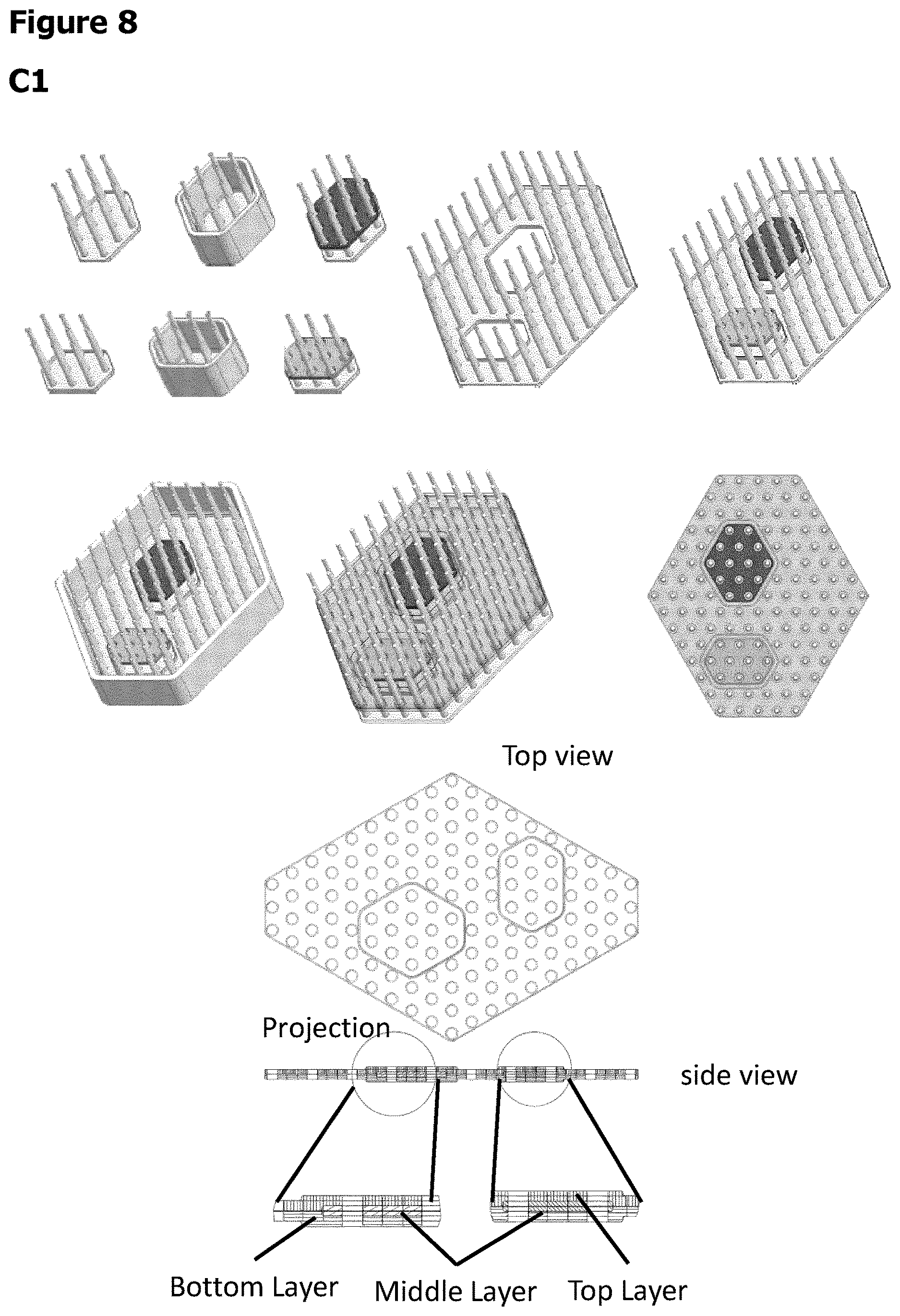 Patent US12611487 Figure 10 – Multilayer engineered heart muscle