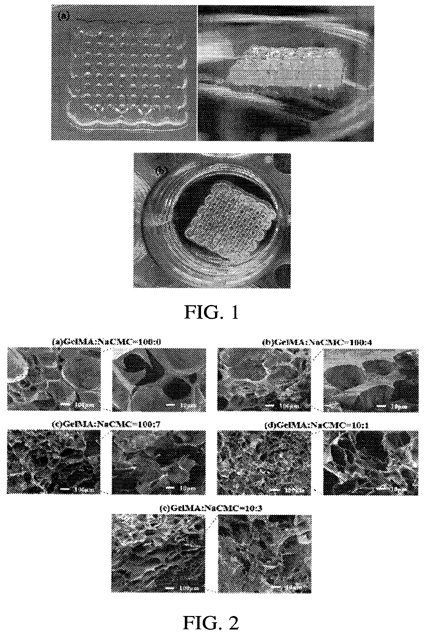 Patent US12611488 — Photocurable composite hydrogel matrix precursor, preparation method thereof and scaffold with same — Figure 1