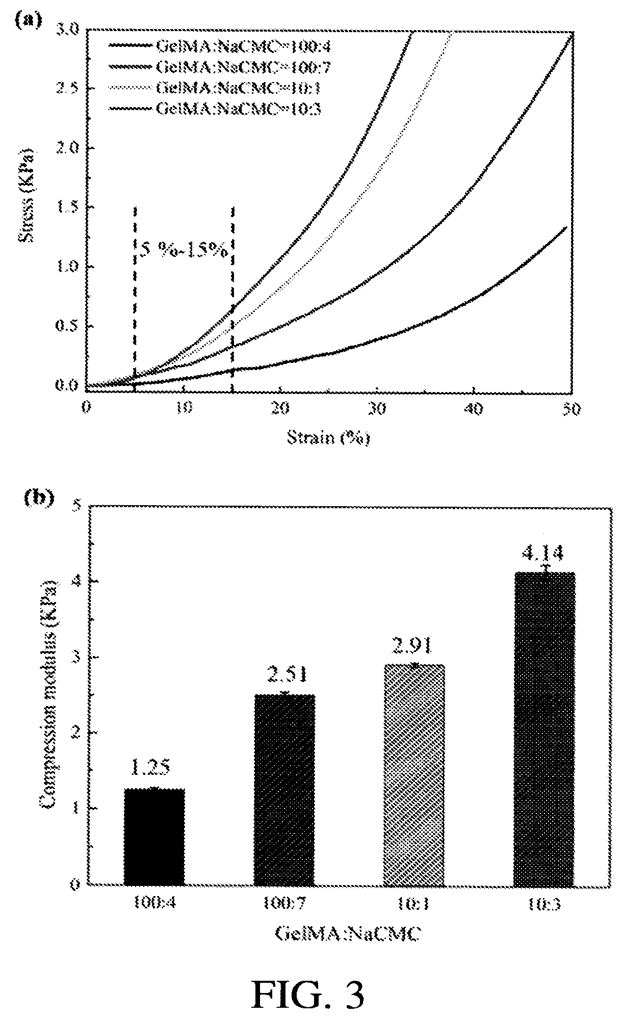 Patent US12611488 Figure 2 – Photocurable composite hydrogel matrix precursor, preparation method thereof and scaffold with same