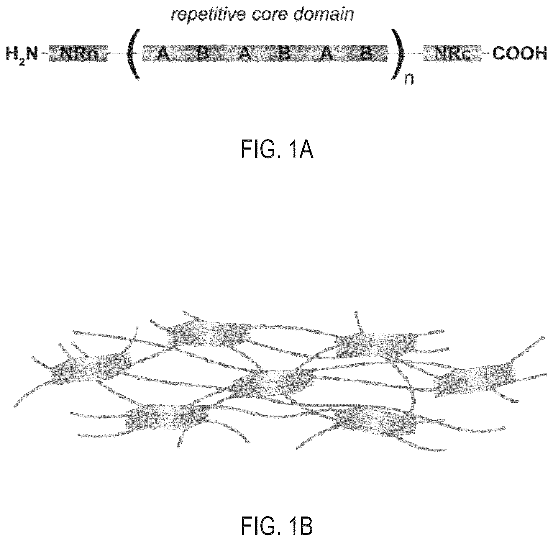 Patent US12611489 Figure 1 – Methods for generating surface coatings via self-assembly of silk fibroin and silk fibroin-like macromolecules