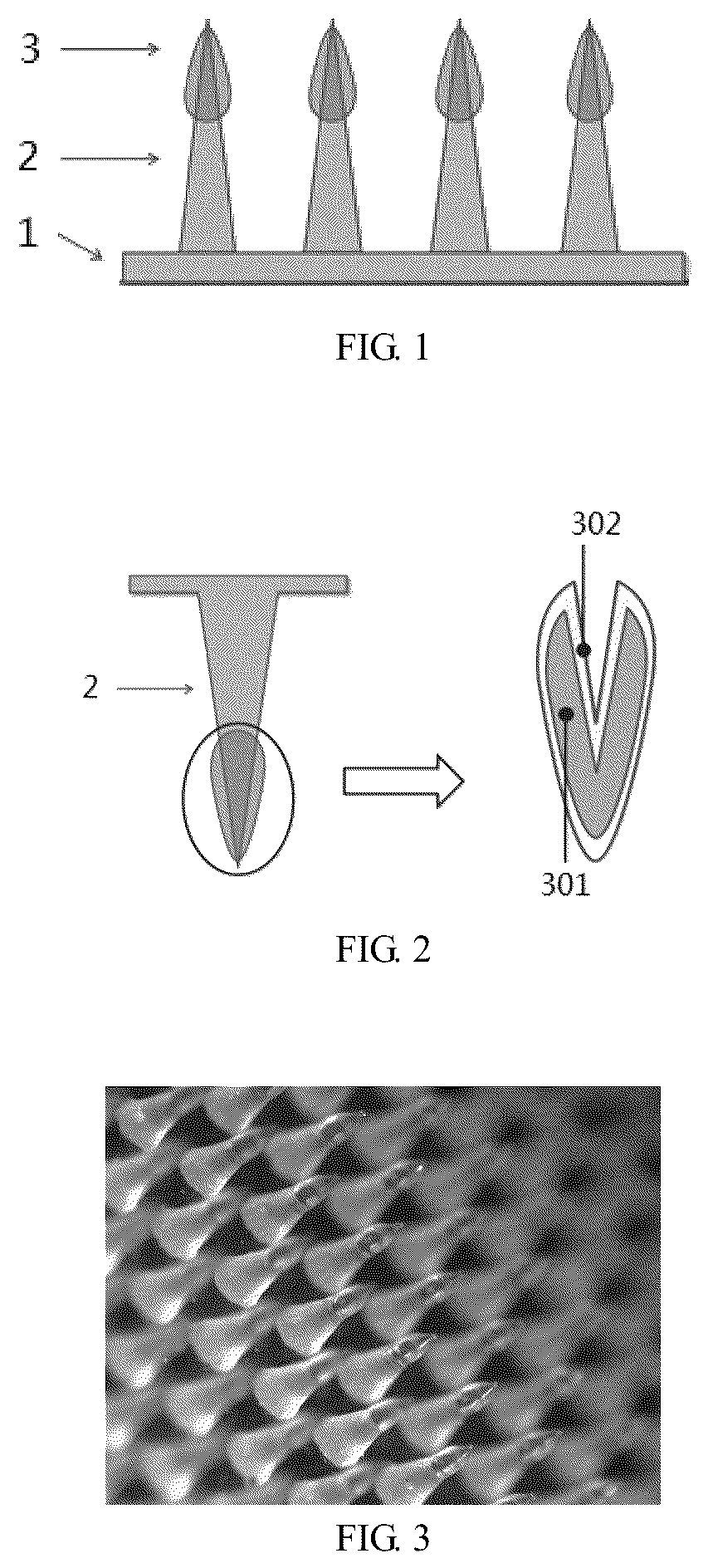 Patent US12611531 Figure 1 – Coated microneedle with multilayer structure, method for preparing the same and microneedle patch comprising coated microneedle