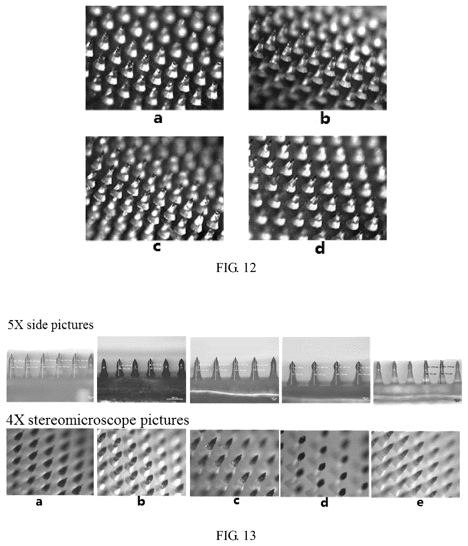 Patent US12611531 Figure 5 – Coated microneedle with multilayer structure, method for preparing the same and microneedle patch comprising coated microneedle