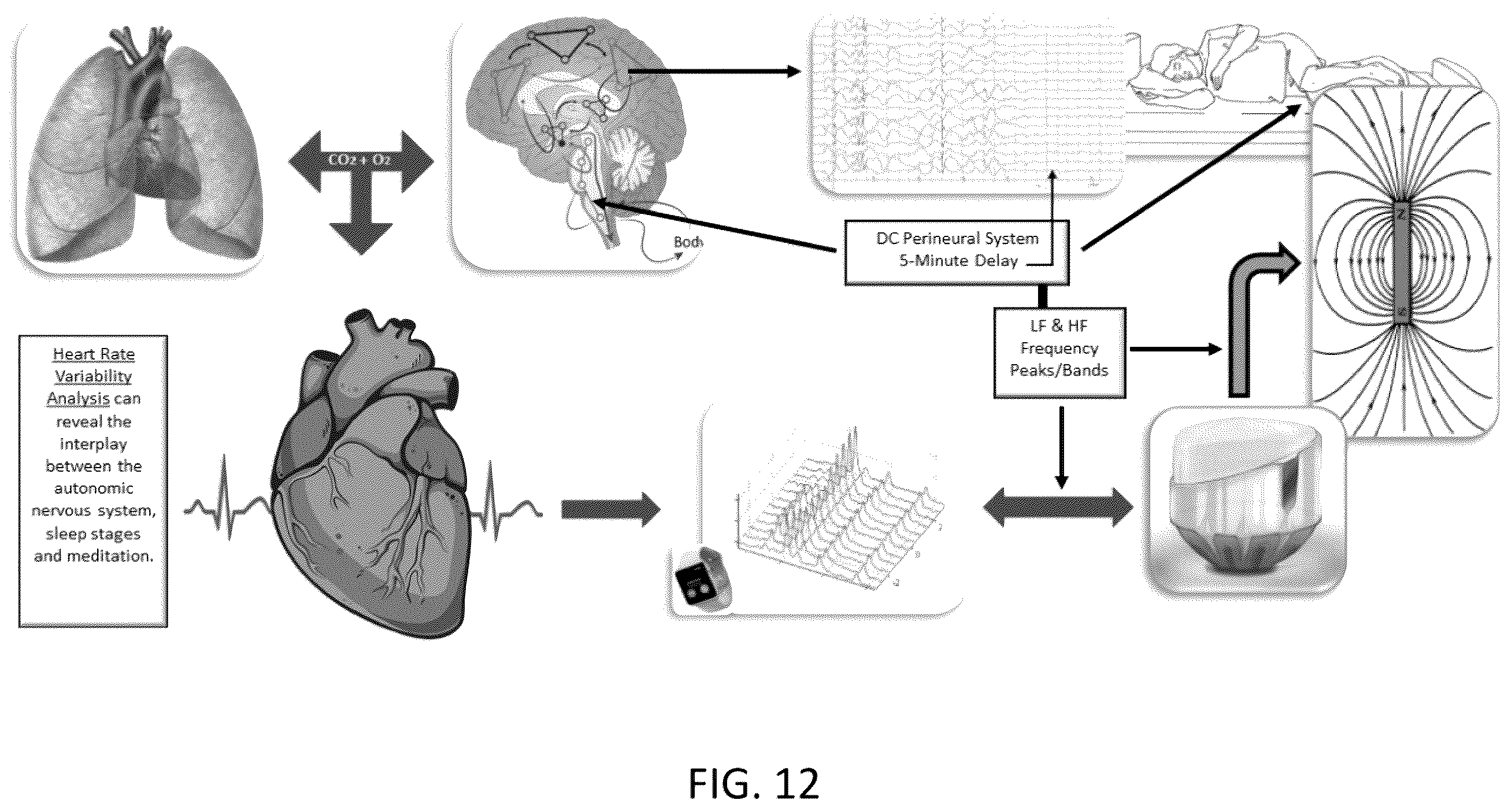 Patent US12611549 Figure 12 – Systems and methods for modulated multi-spectral magnetic stimulation
