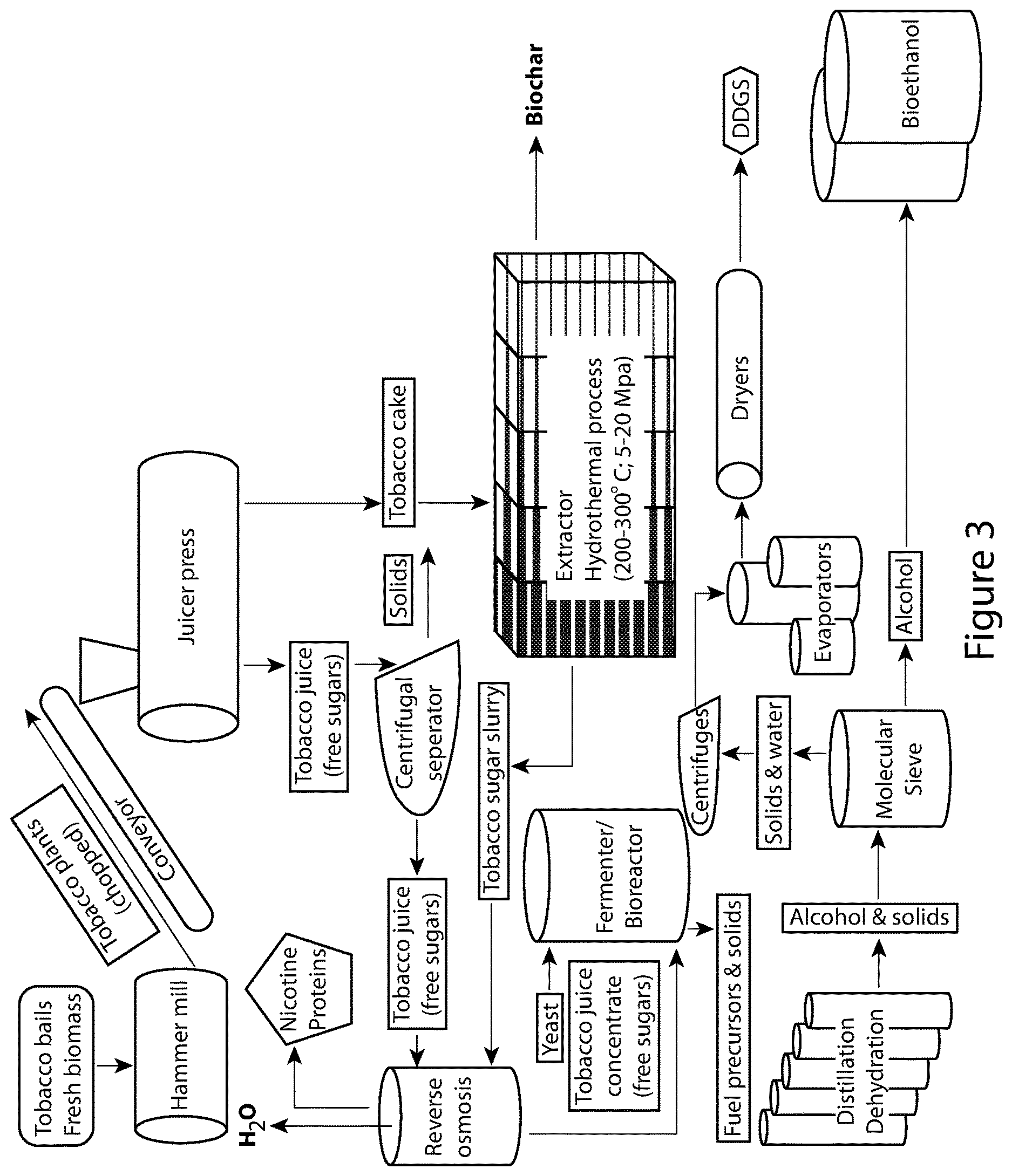 Patent US12611644 Figure 3 – Process and system for producing pulp, energy, and bioderivatives from plant-based and recycled materials