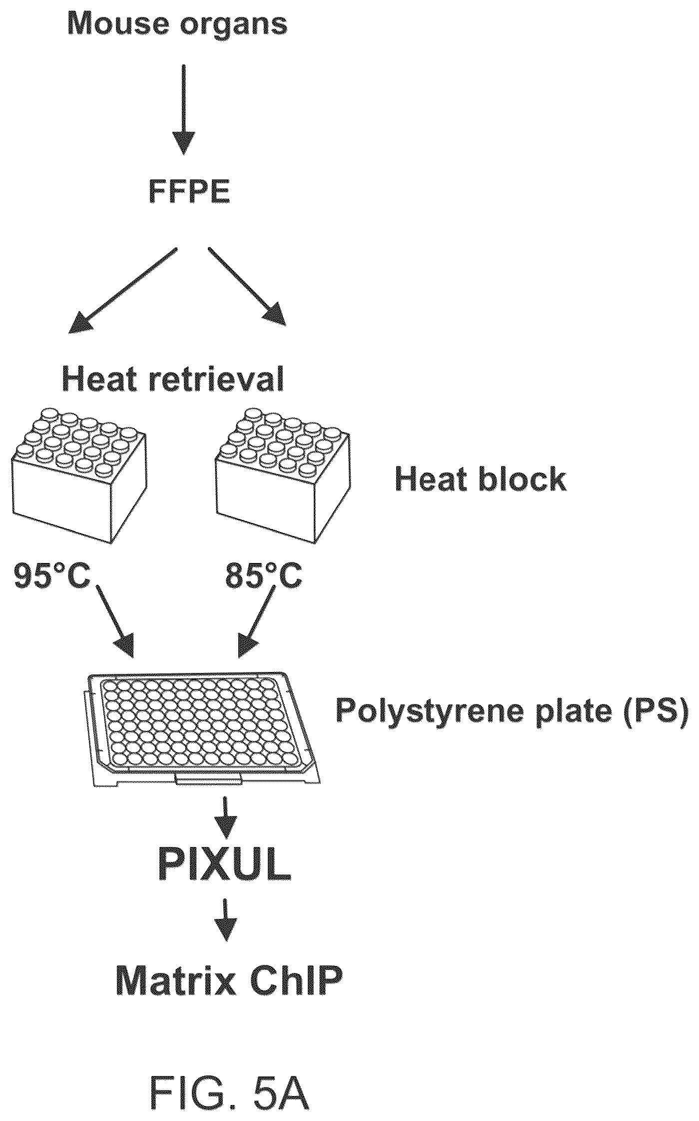 Patent US12611645 Figure 9 – Microplate cycling thermo sonicator with programmable ultrasound, heating, and cooling for multi-analytical applications
