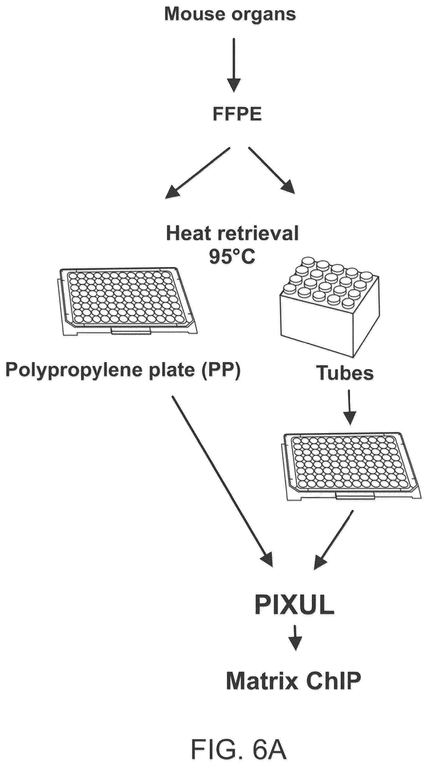Patent US12611645 Figure 12 – Microplate cycling thermo sonicator with programmable ultrasound, heating, and cooling for multi-analytical applications