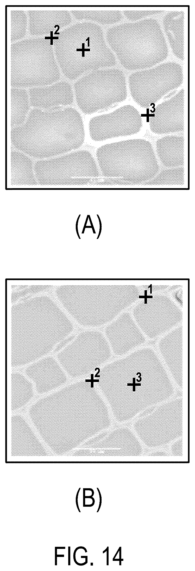 Patent US12611649 Figure 13 – Biogenic activated carbon and methods of making and using same