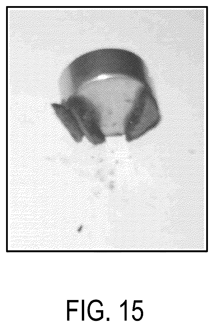 Patent US12611649 Figure 14 – Biogenic activated carbon and methods of making and using same