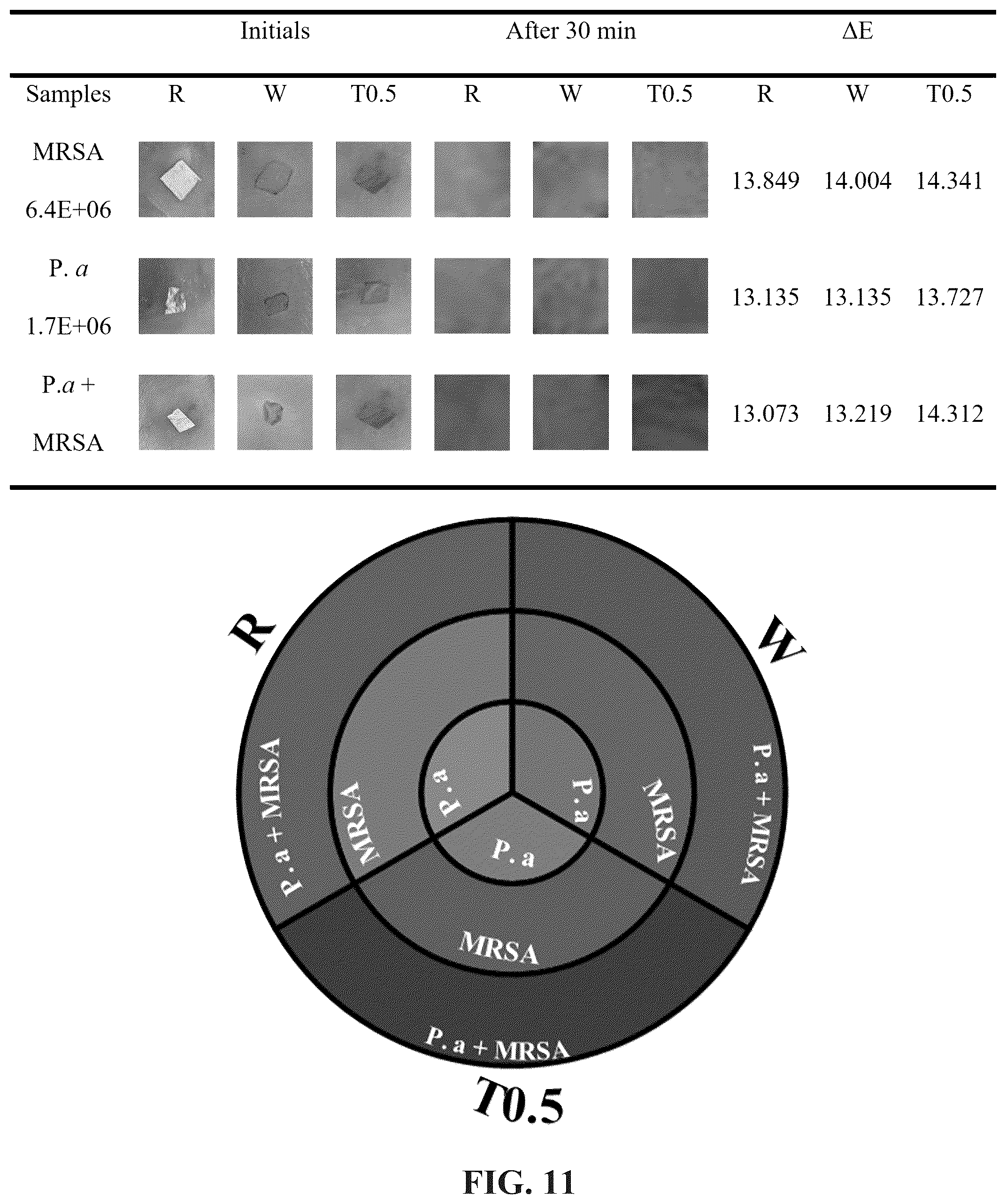 Patent US12611665 Figure 12 – In situ chromatic biosensor