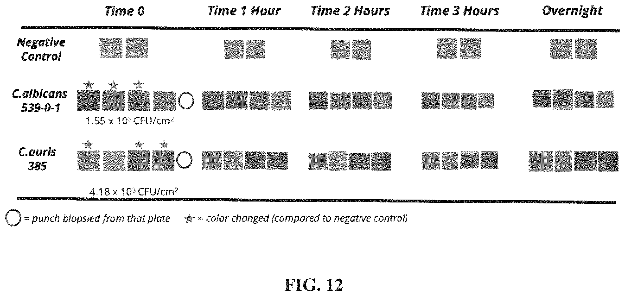 Patent US12611665 Figure 13 – In situ chromatic biosensor