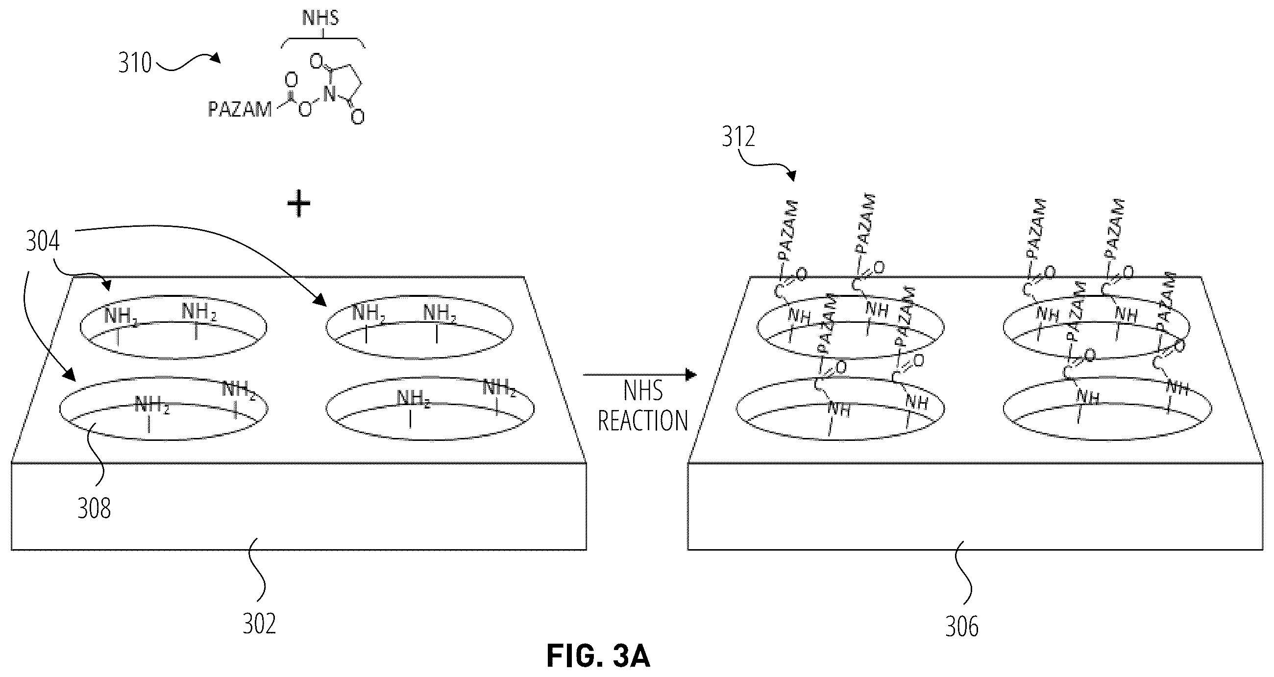 Patent US12611666 Figure 5 – Substrate with orthogonally functional nanodomains