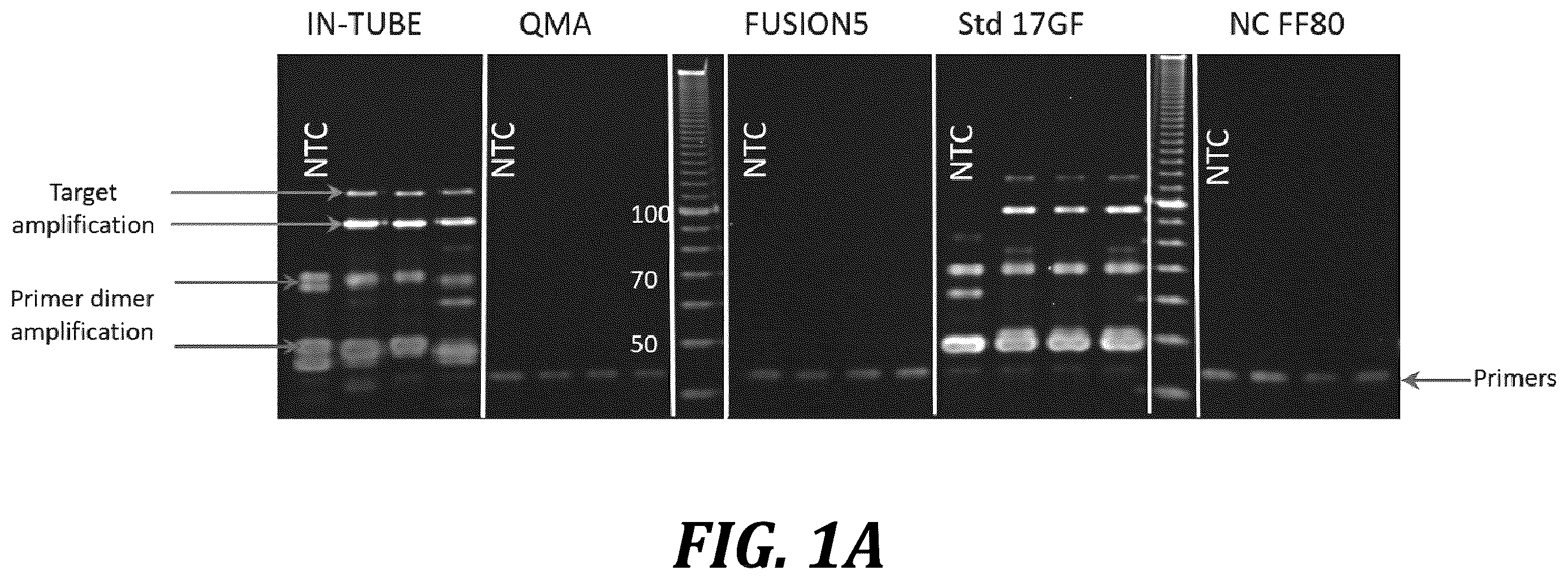 Patent US12611668 Figure 1 – Long-term dry storage of enzyme-based reagents in a porous matrix