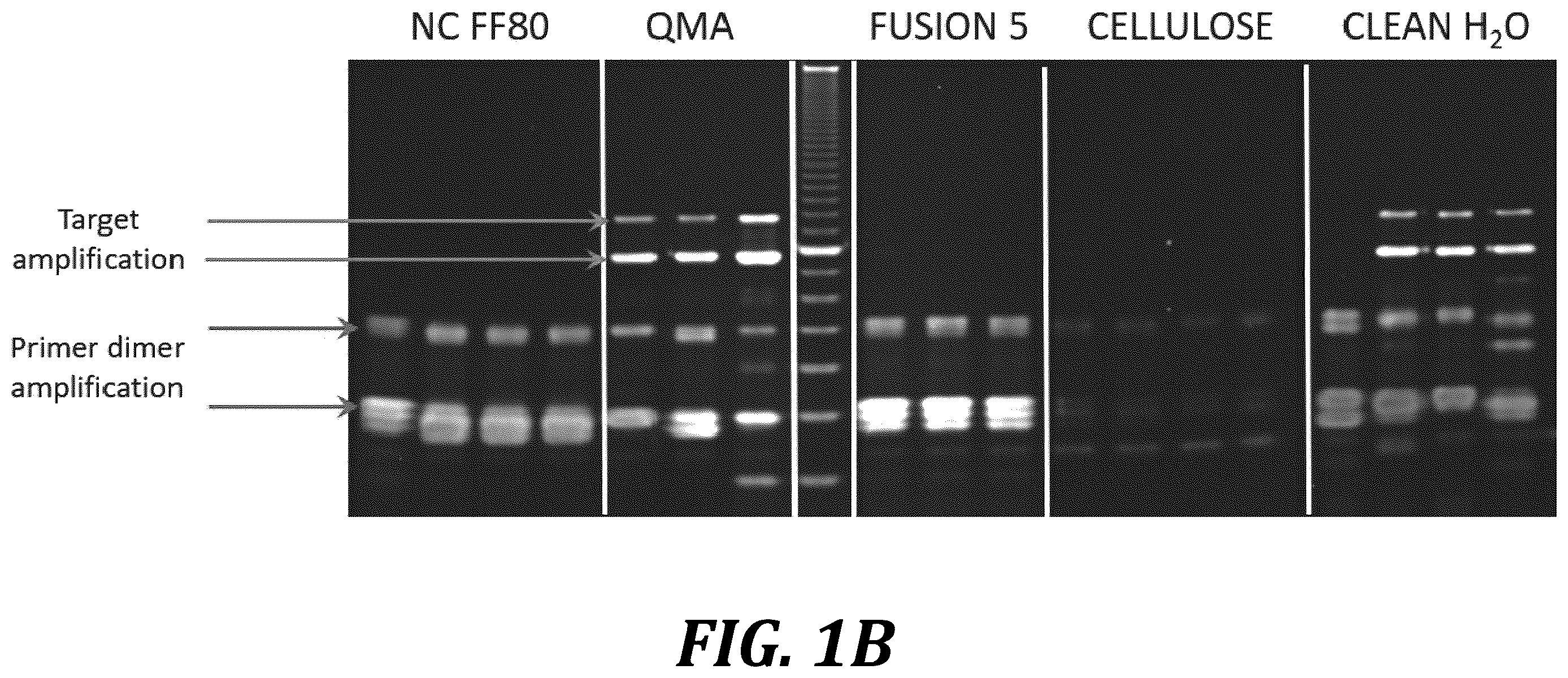 Patent US12611668 Figure 2 – Long-term dry storage of enzyme-based reagents in a porous matrix